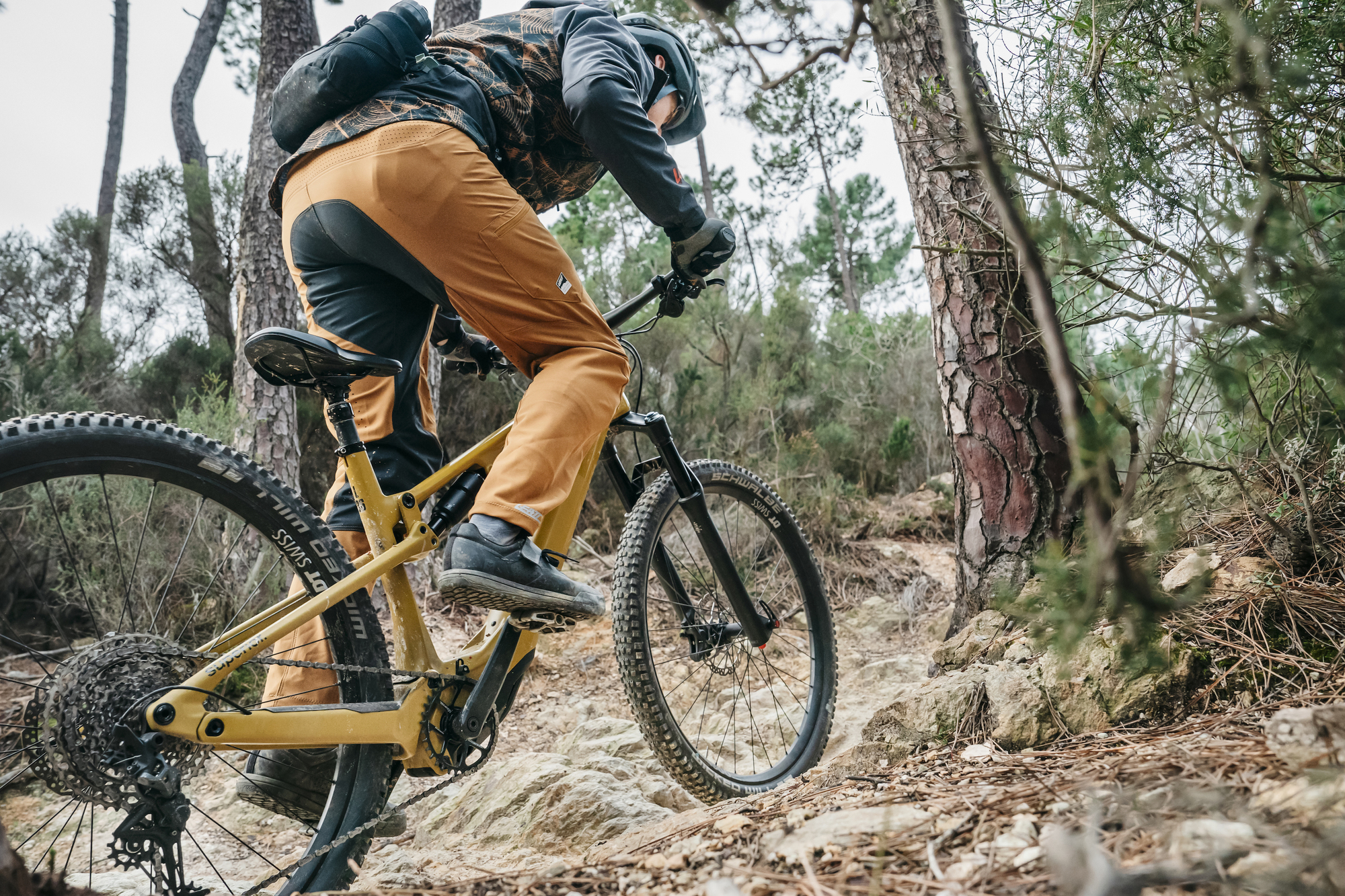 E-MTB Test 2024: Die elektronischen Überflieger im Praxistest