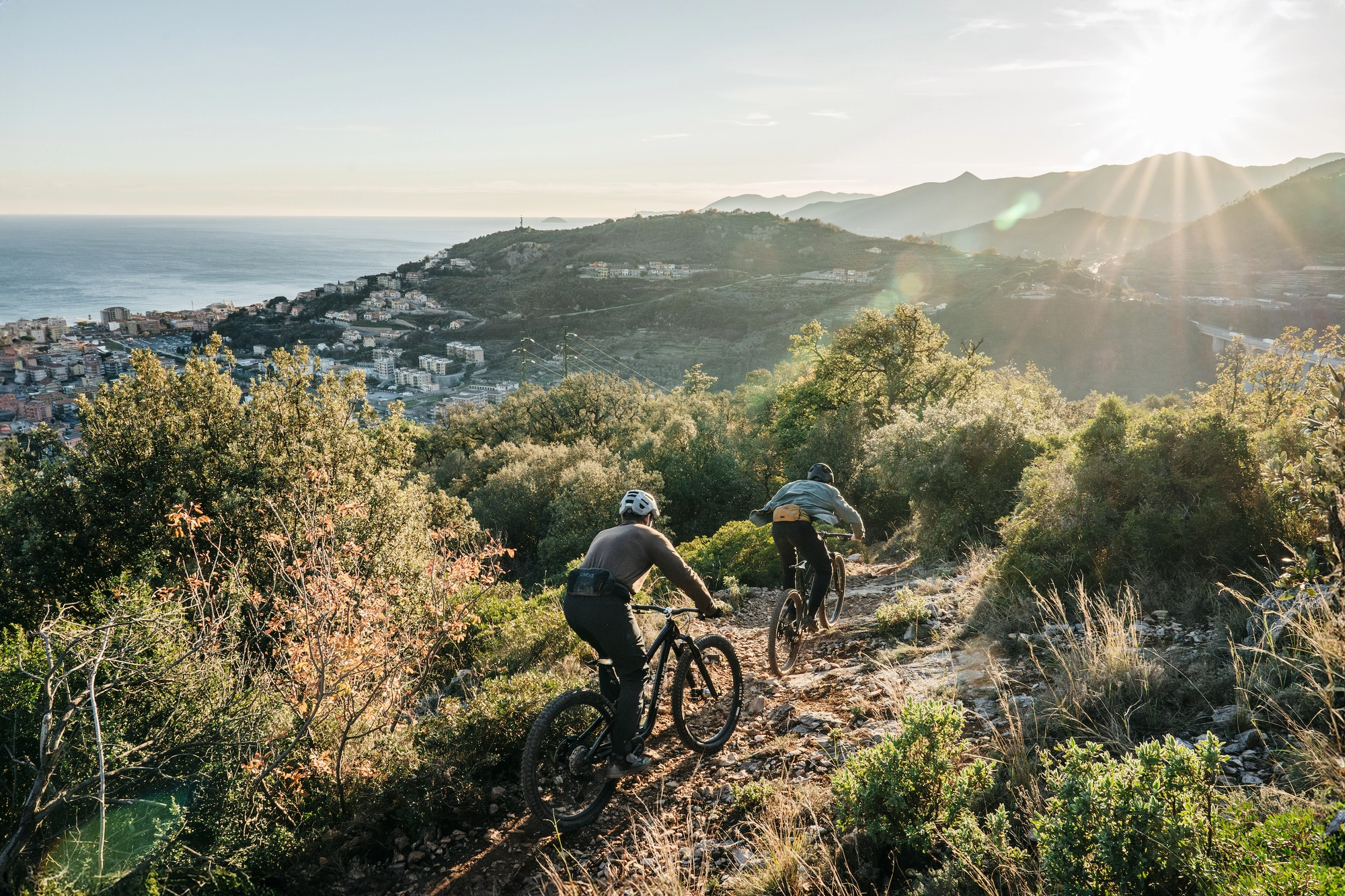 Mountainbiketest 2024: Trailbike oder Enduro?