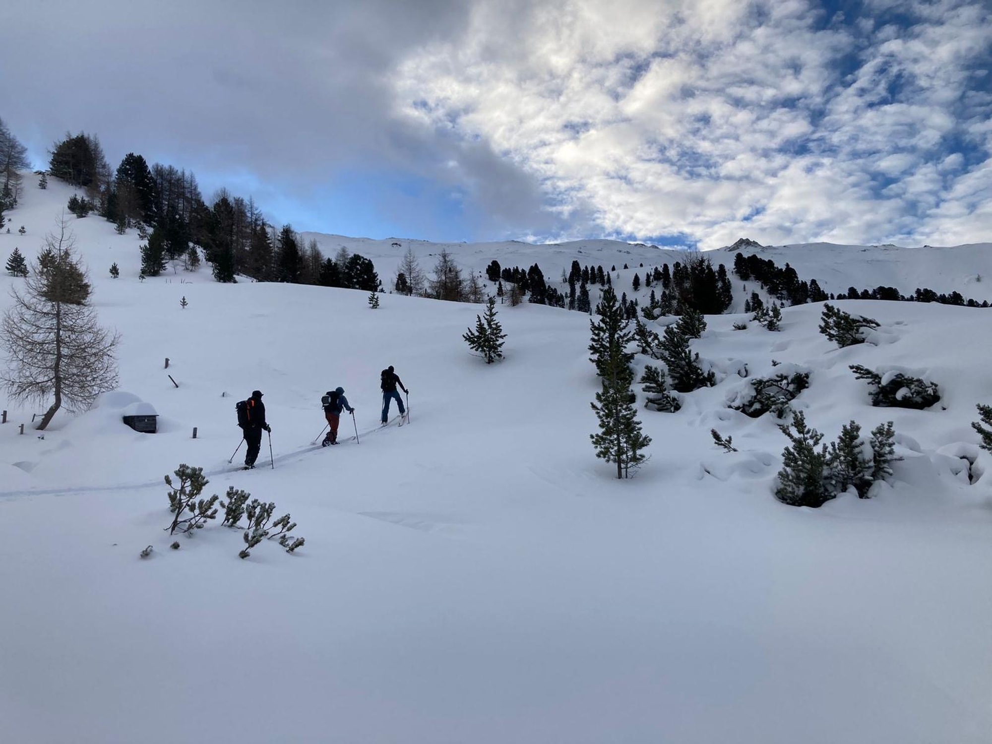 Splitboard Test 2024 – Das solltest du vor dem Kauf wissen