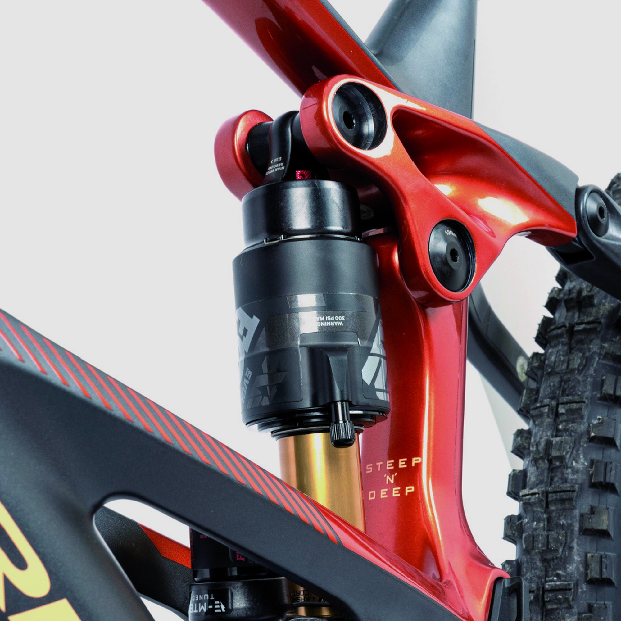 Orbea Rise LT M10