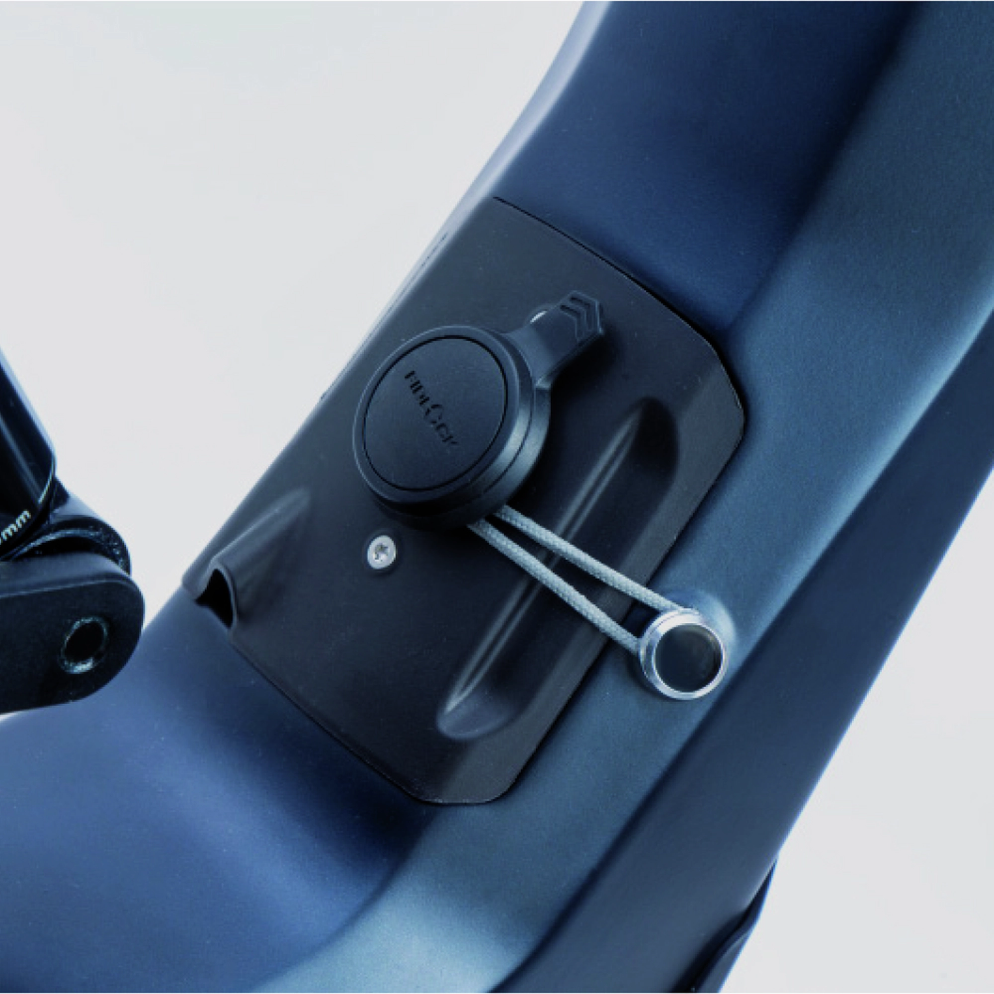 Im: Test Bergstrom Roots 1