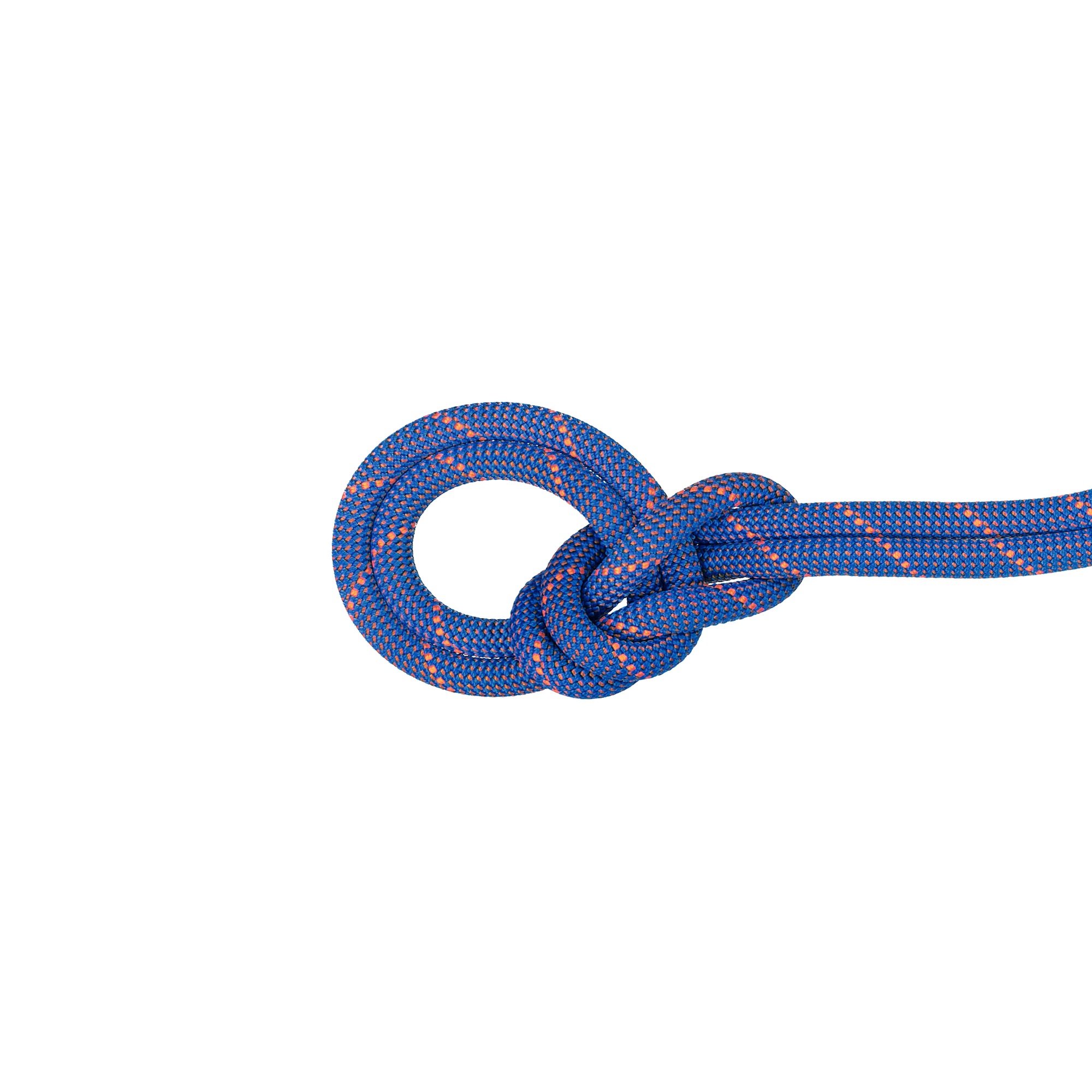 Mammut Einfachseil Crag Sender Dry 9,0mm