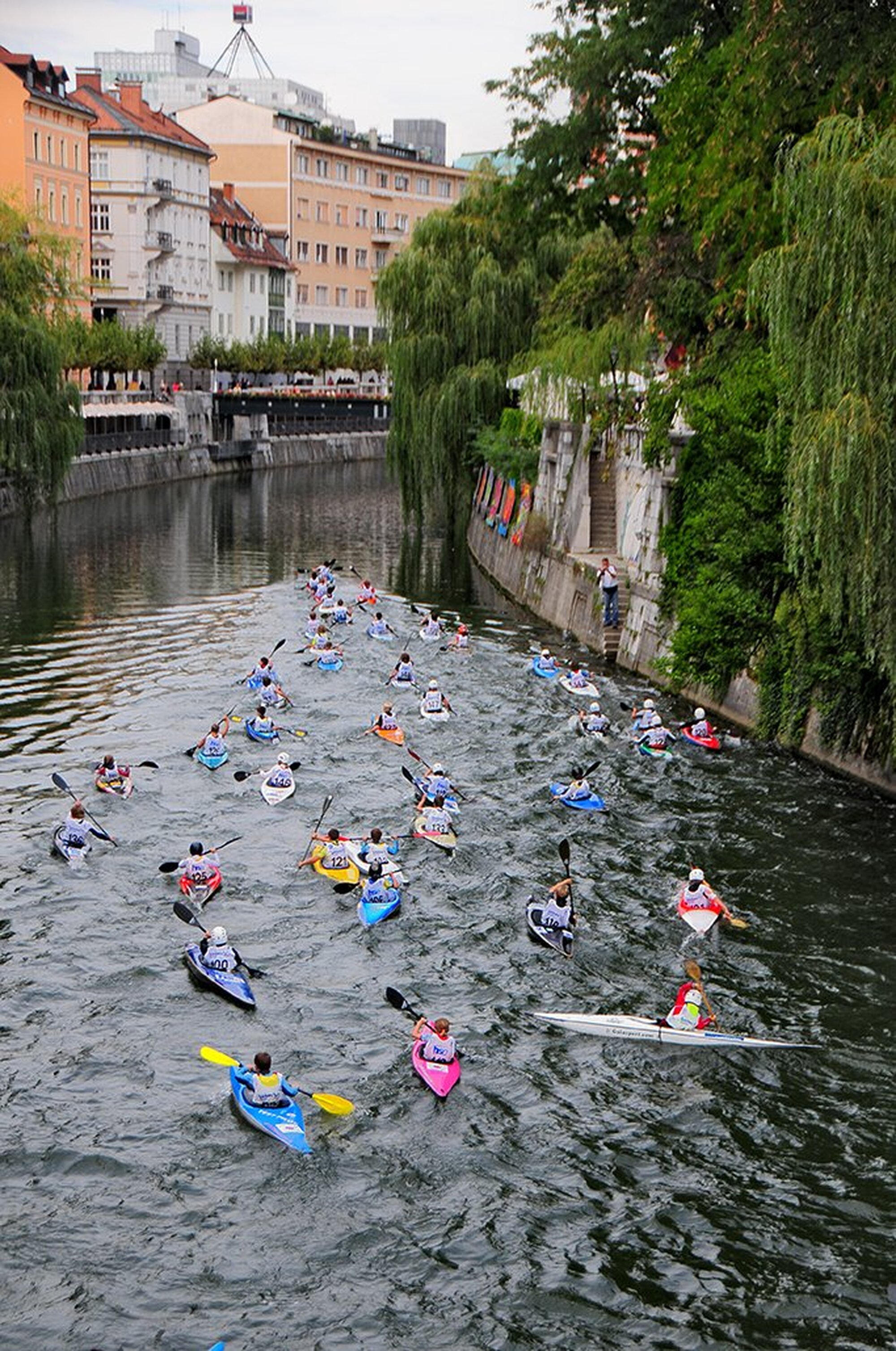 Ljubljana – Schüchterne Schönheit