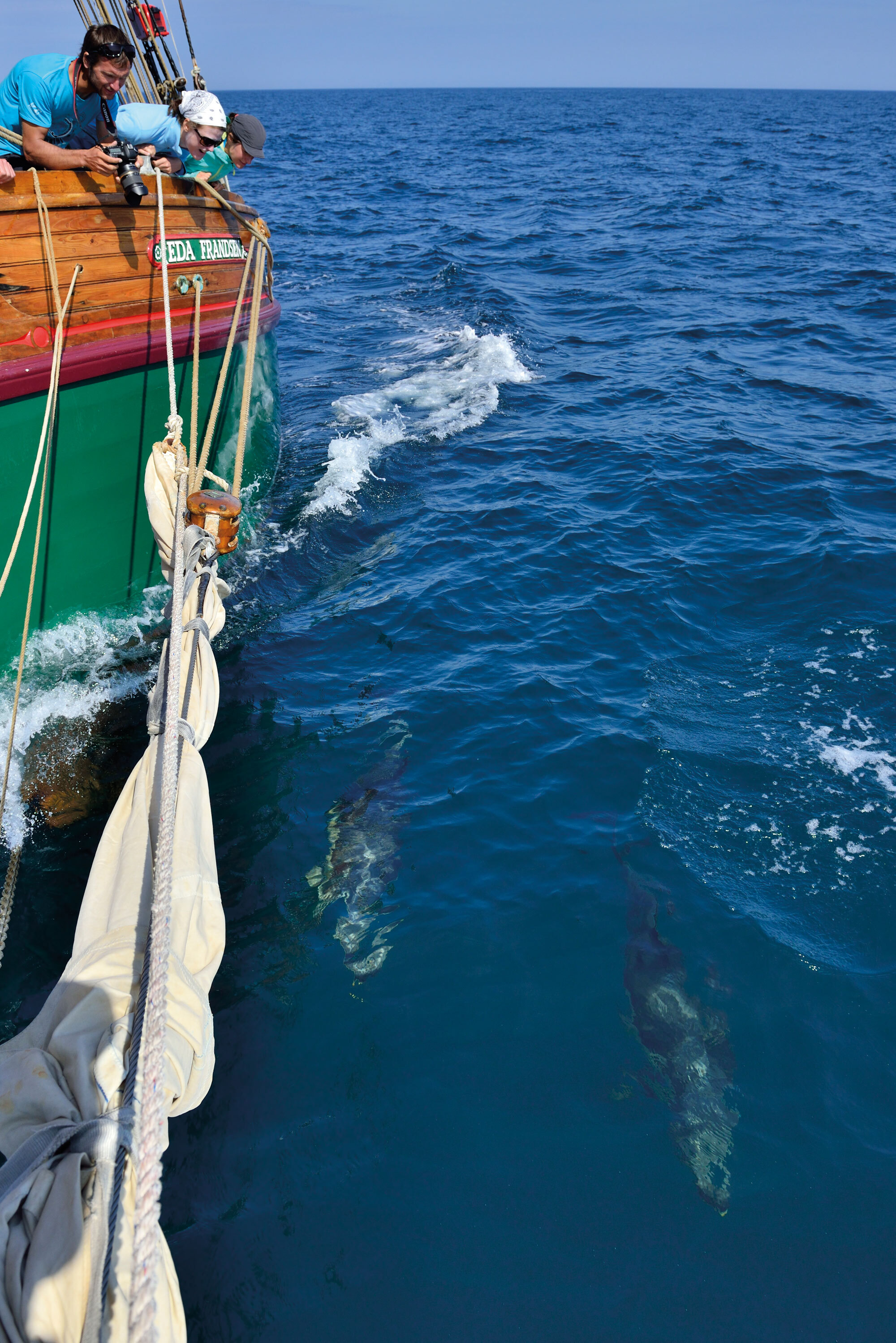 Hebriden: Segeln und Klettern vor Schottlands Küsten