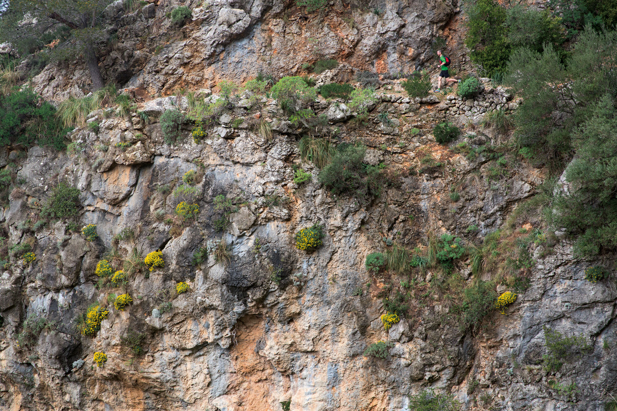 Berglauf statt Ballermann – Trailrunning: Langes Wochenende auf Mallorca