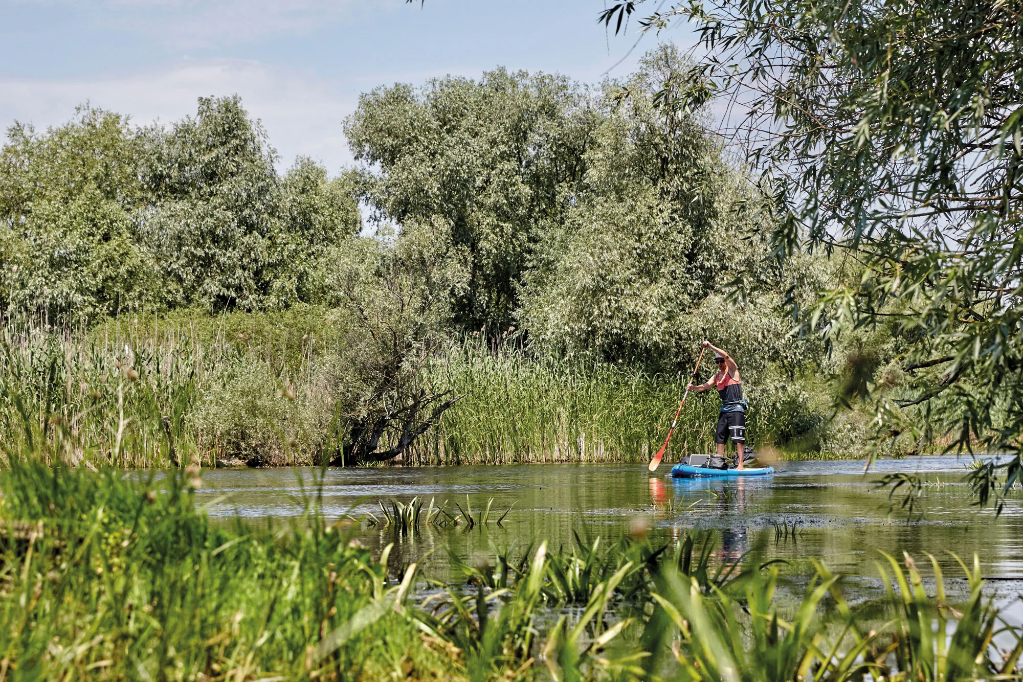 Balanceakt im Paradies – SUP-Tour durchs Donaudelta