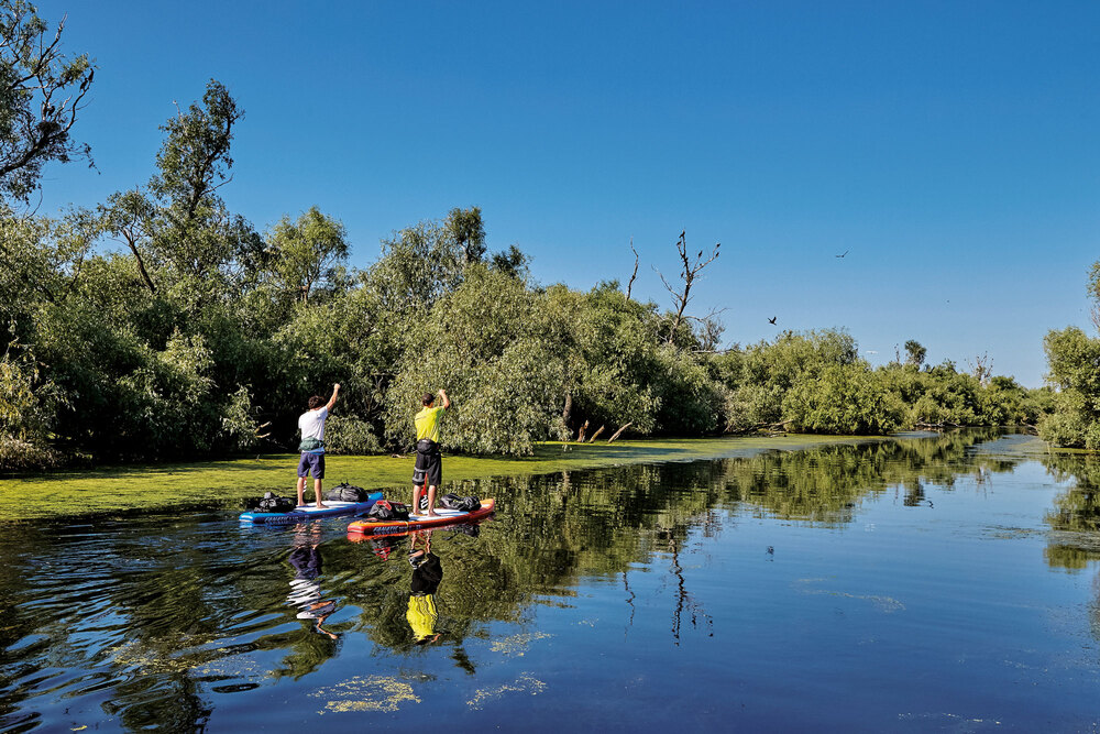 Balanceakt im Paradies – SUP-Tour durchs Donaudelta