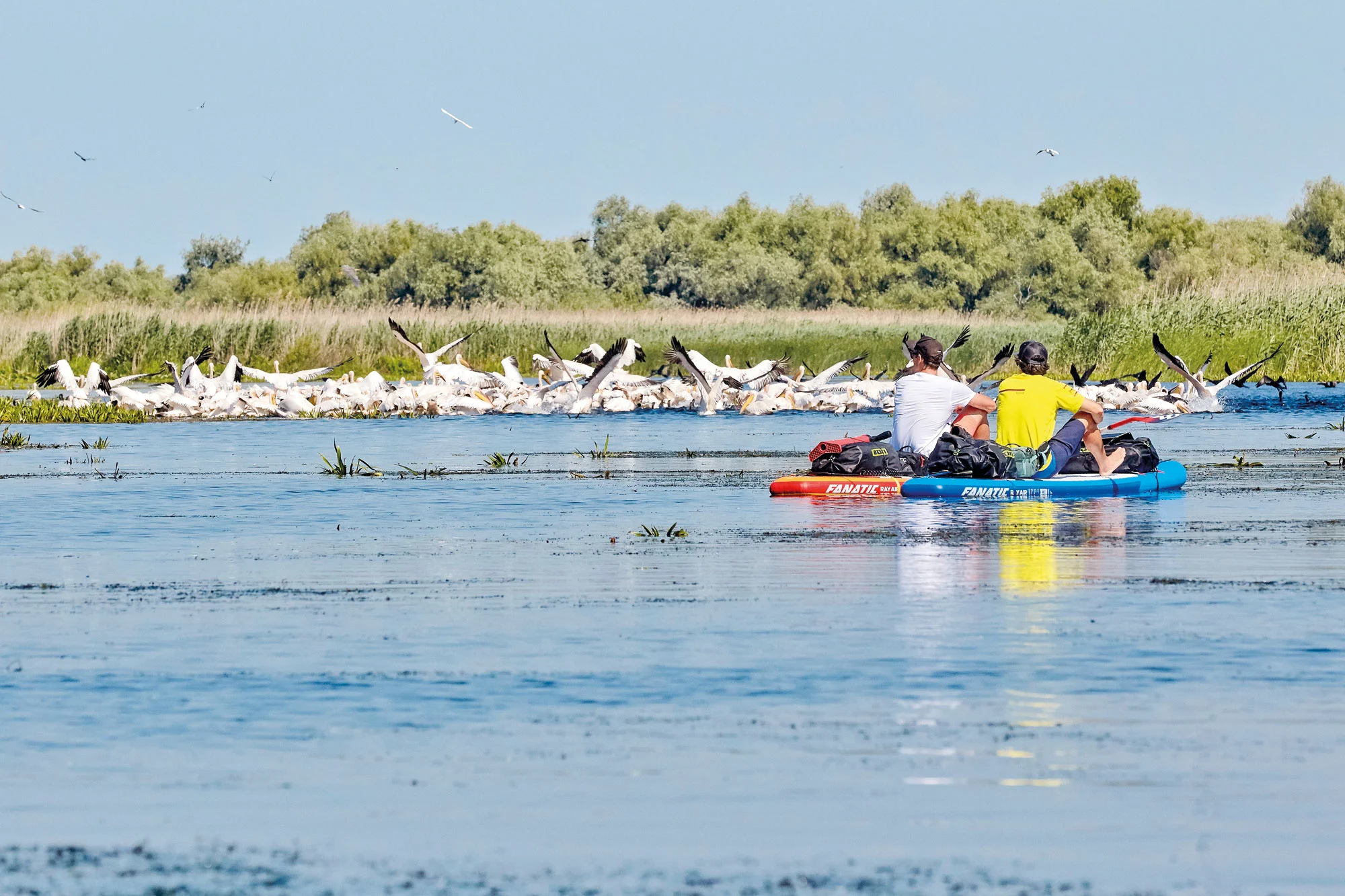 Balanceakt im Paradies – SUP-Tour durchs Donaudelta