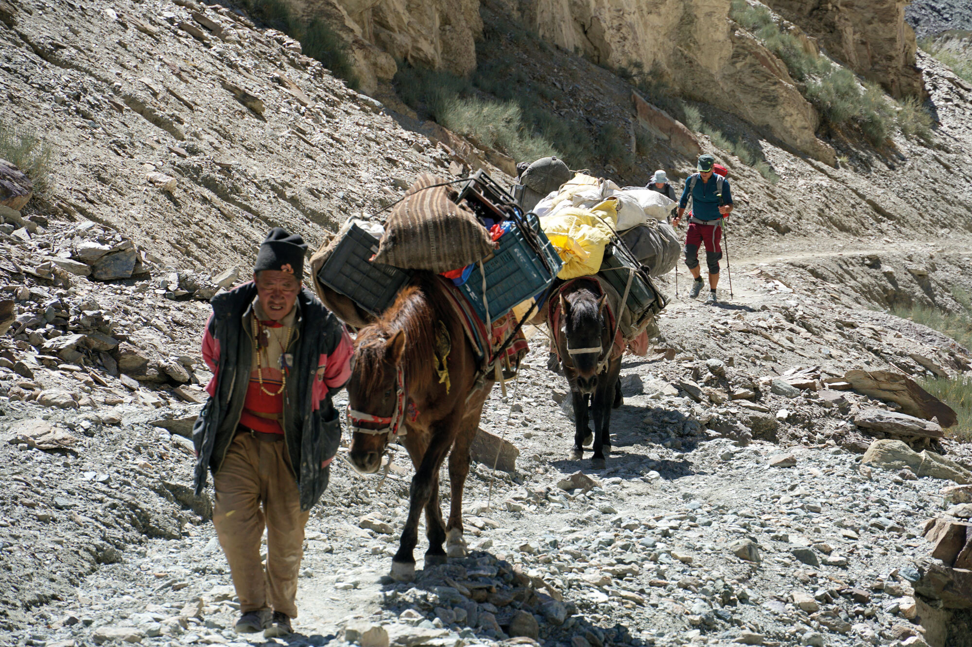 Palmen, Kamele, dünne Luft. Ladakh: Trekking IM Indischen Himalaya