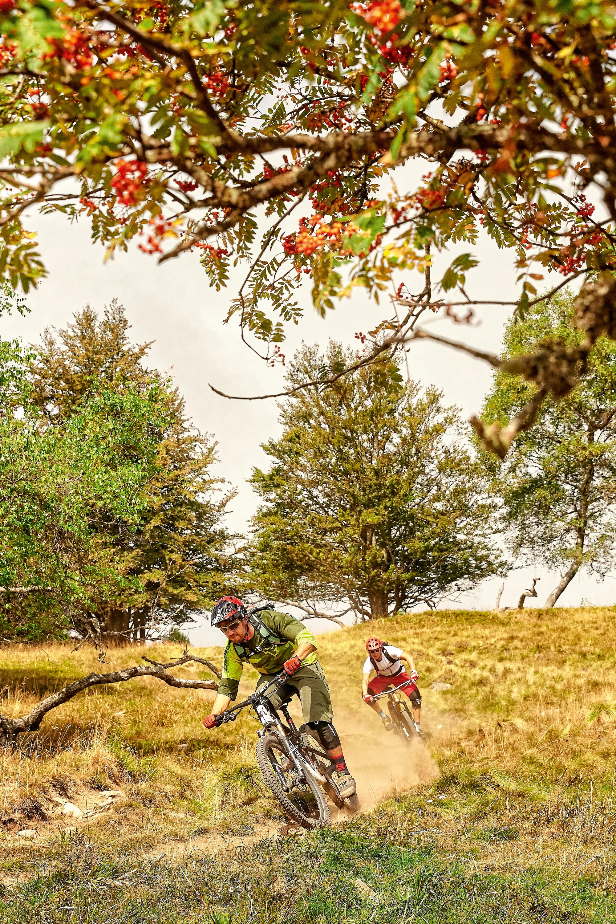 Ballonfahrt – Mountainbiken in den Natur-Trails der Vogesen