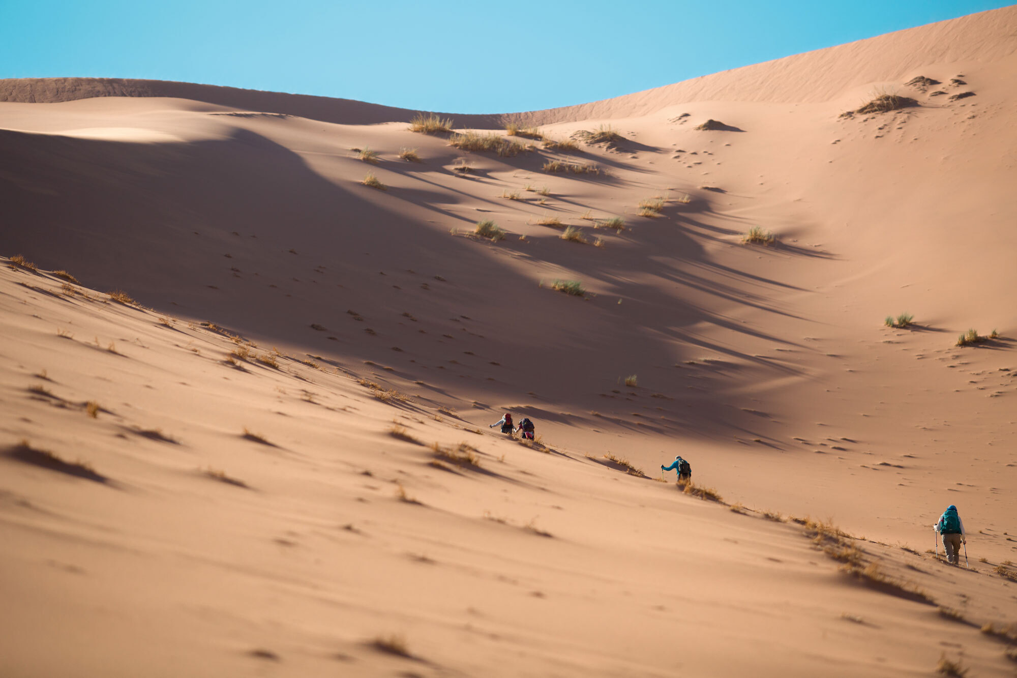 Durch die Wüste – Trekking-Abenteuer durch Namibias Sandmeer