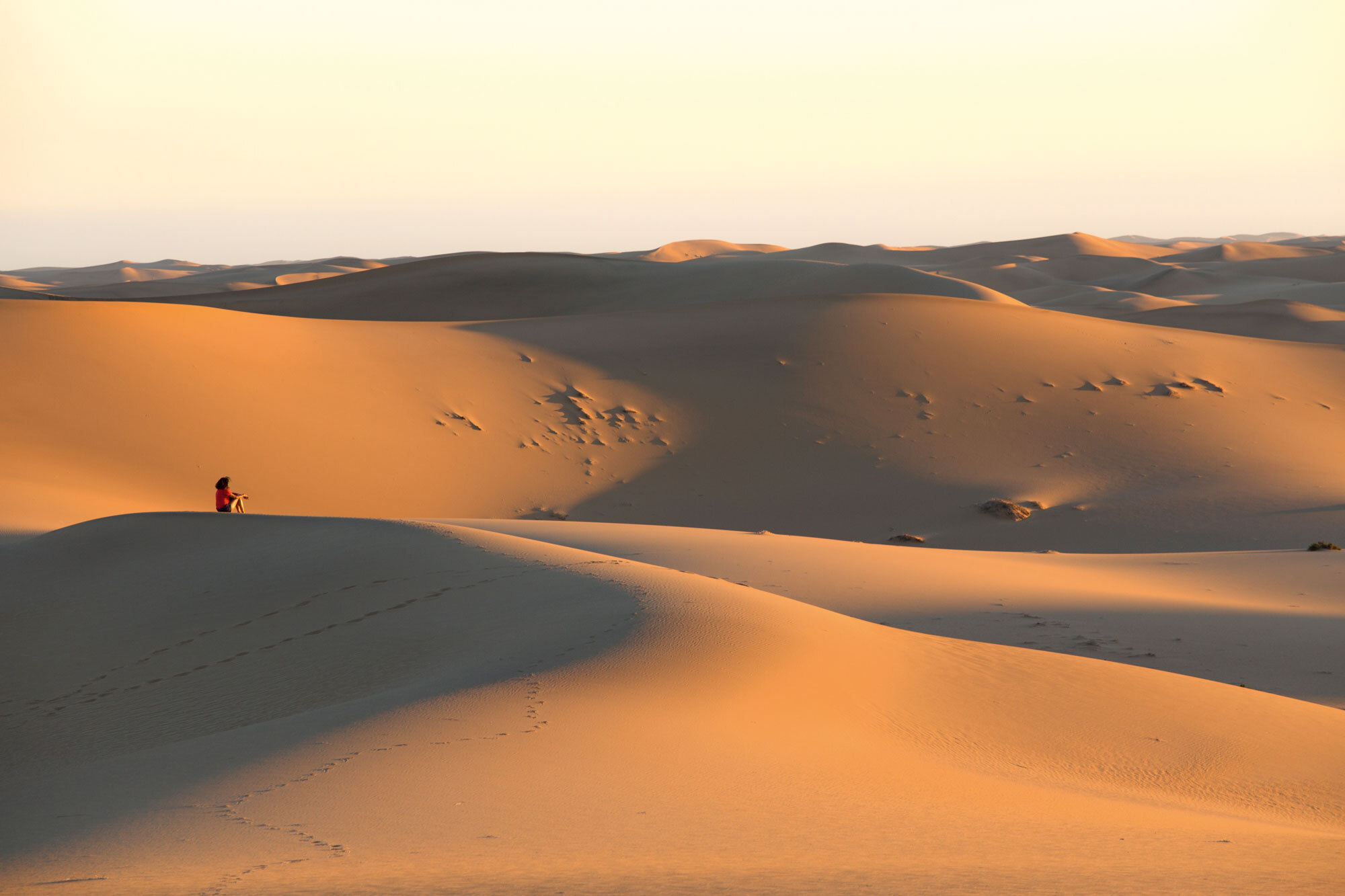 Durch die Wüste – Trekking-Abenteuer durch Namibias Sandmeer