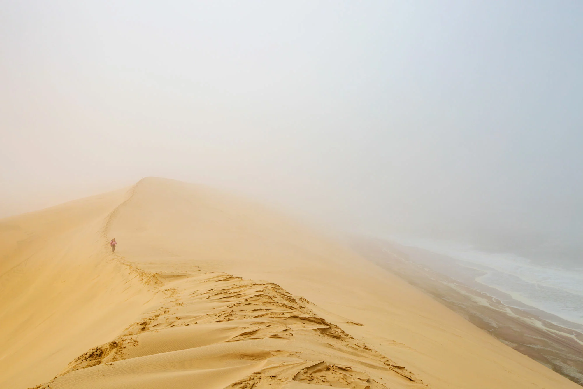 Durch die Wüste – Trekking-Abenteuer durch Namibias Sandmeer
