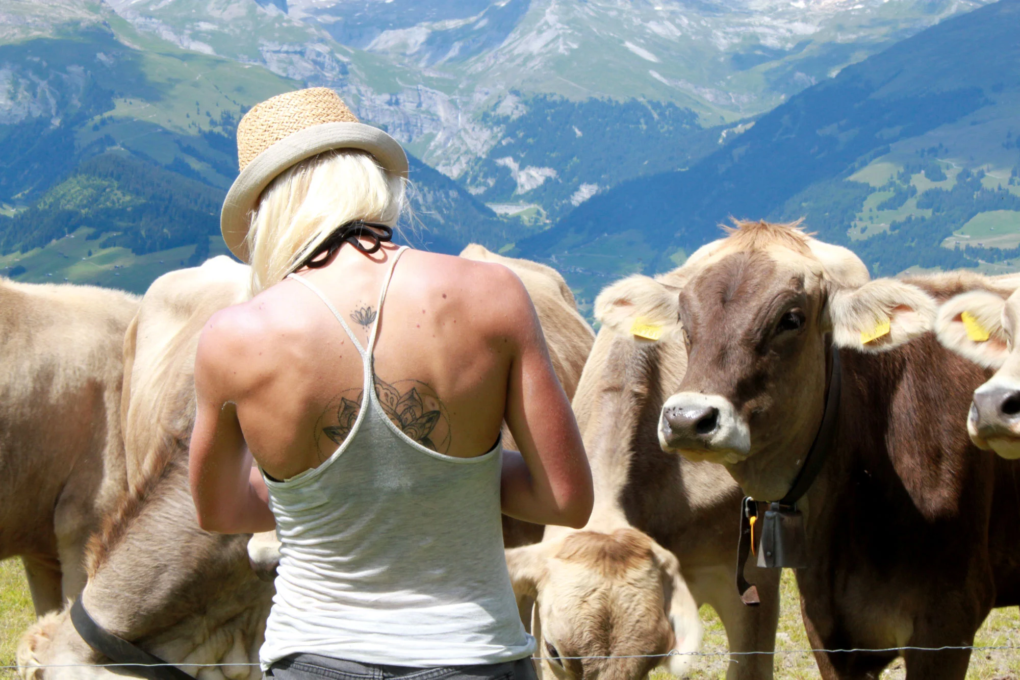 Interview mit Katharina Krepold: Auf ein Glas Milch mit einer Alp Managerin