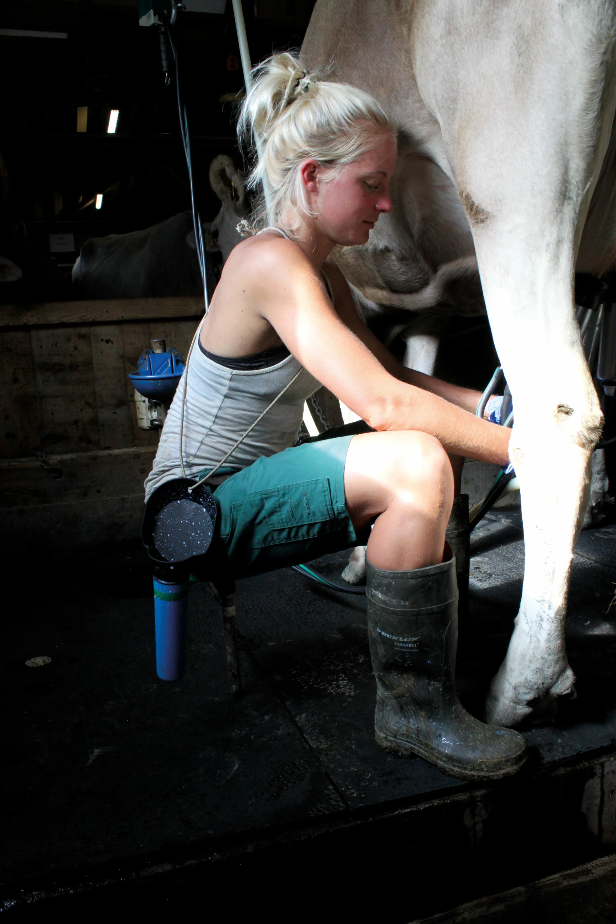 Oben ohne Sorgen – Auf ein Glas Milch mit einer Alp-Managerin