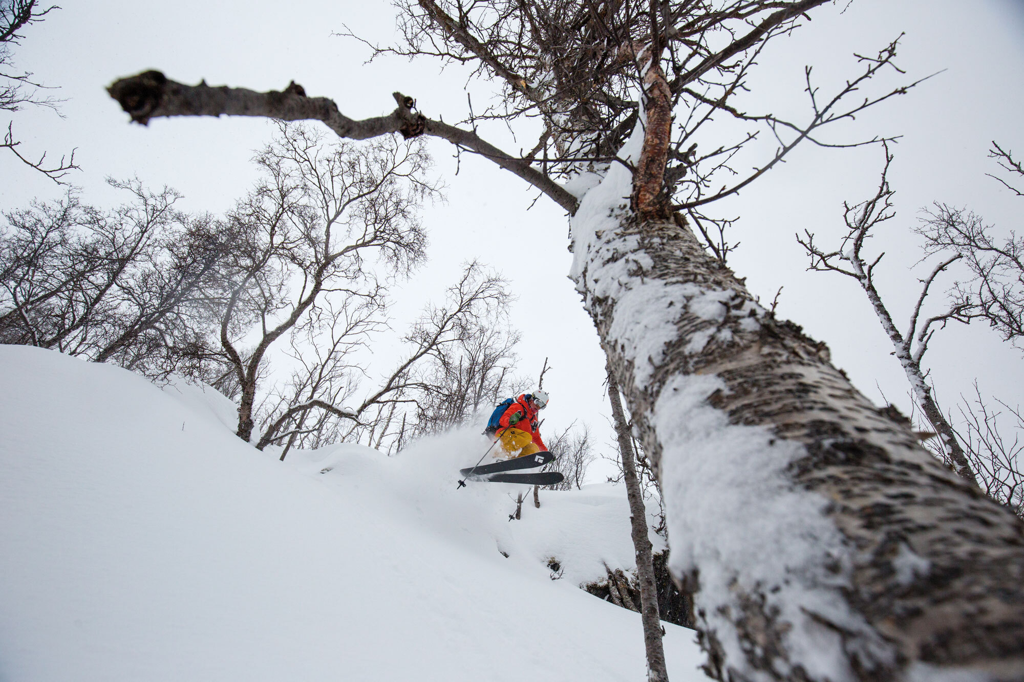 Steile Lines über dem Meer: Ski & Sail in Nordnorwegen