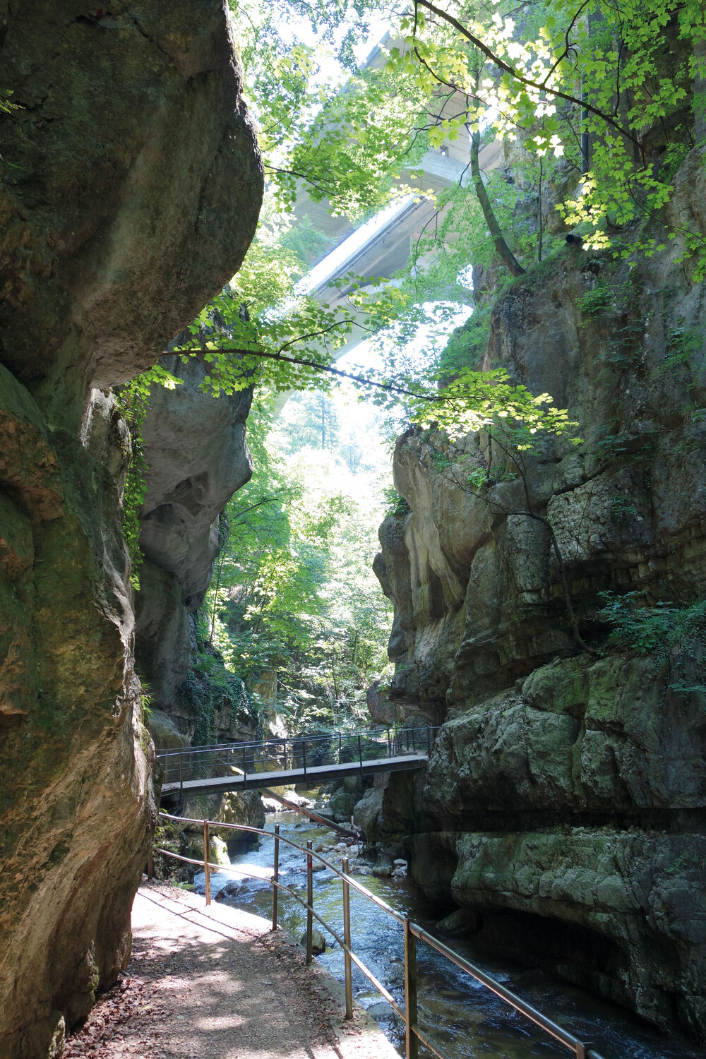 Wegzauber im Hinterland – Sentier des Roches - Sentier des 22 Contours / BE