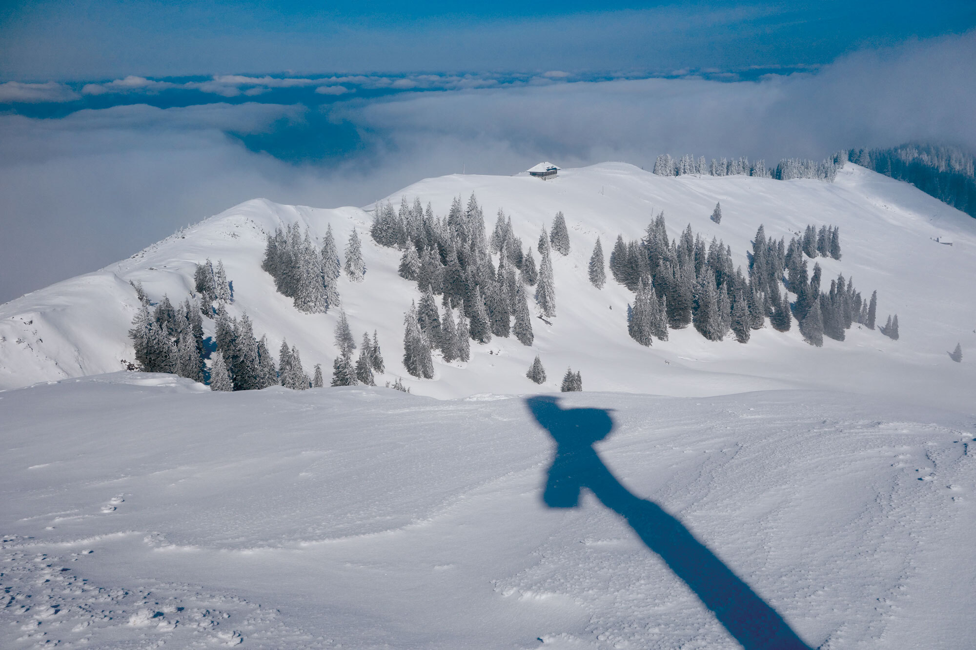 Schneeschuhwandern