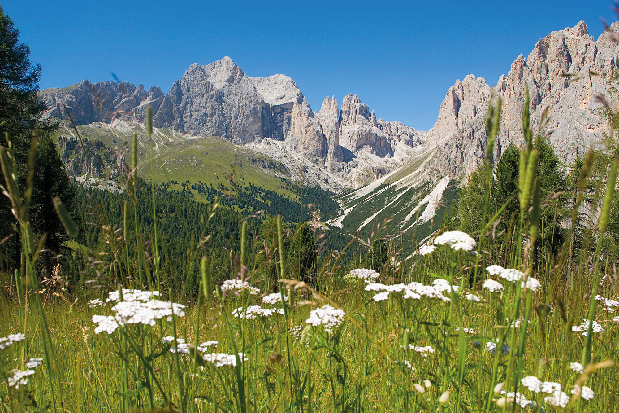 Alpine Sinfonie – Trentino