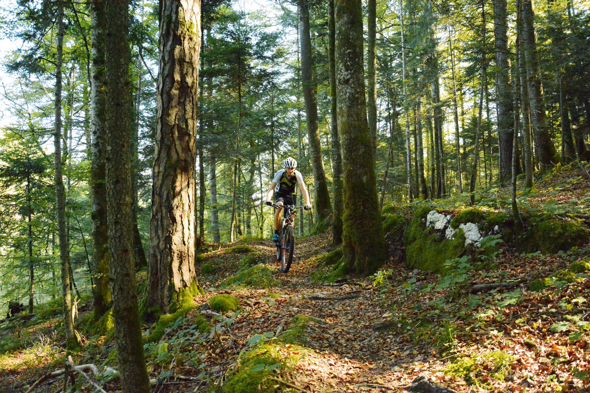 Mountainbiken im Berner Jura