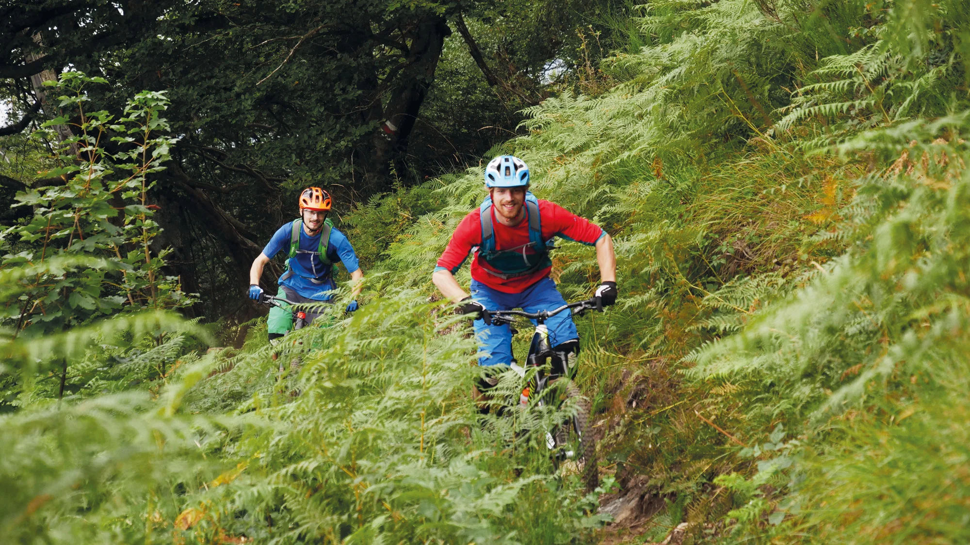 Mountainbiketour im Rheintal Altstätten