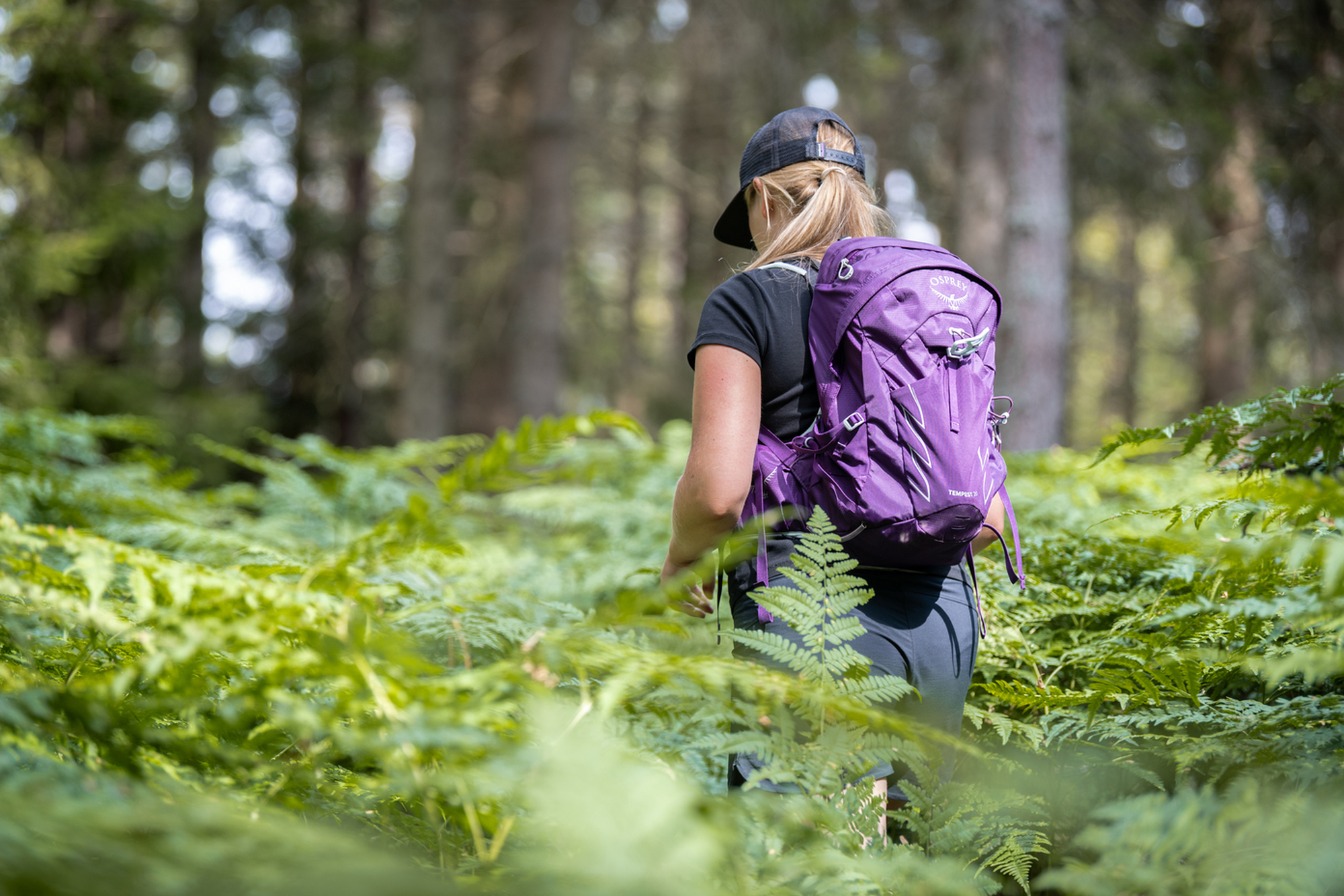 Mit dem Kajak durch Schweden: Ruhige Gewässer, Inseln und versteckte Buchten