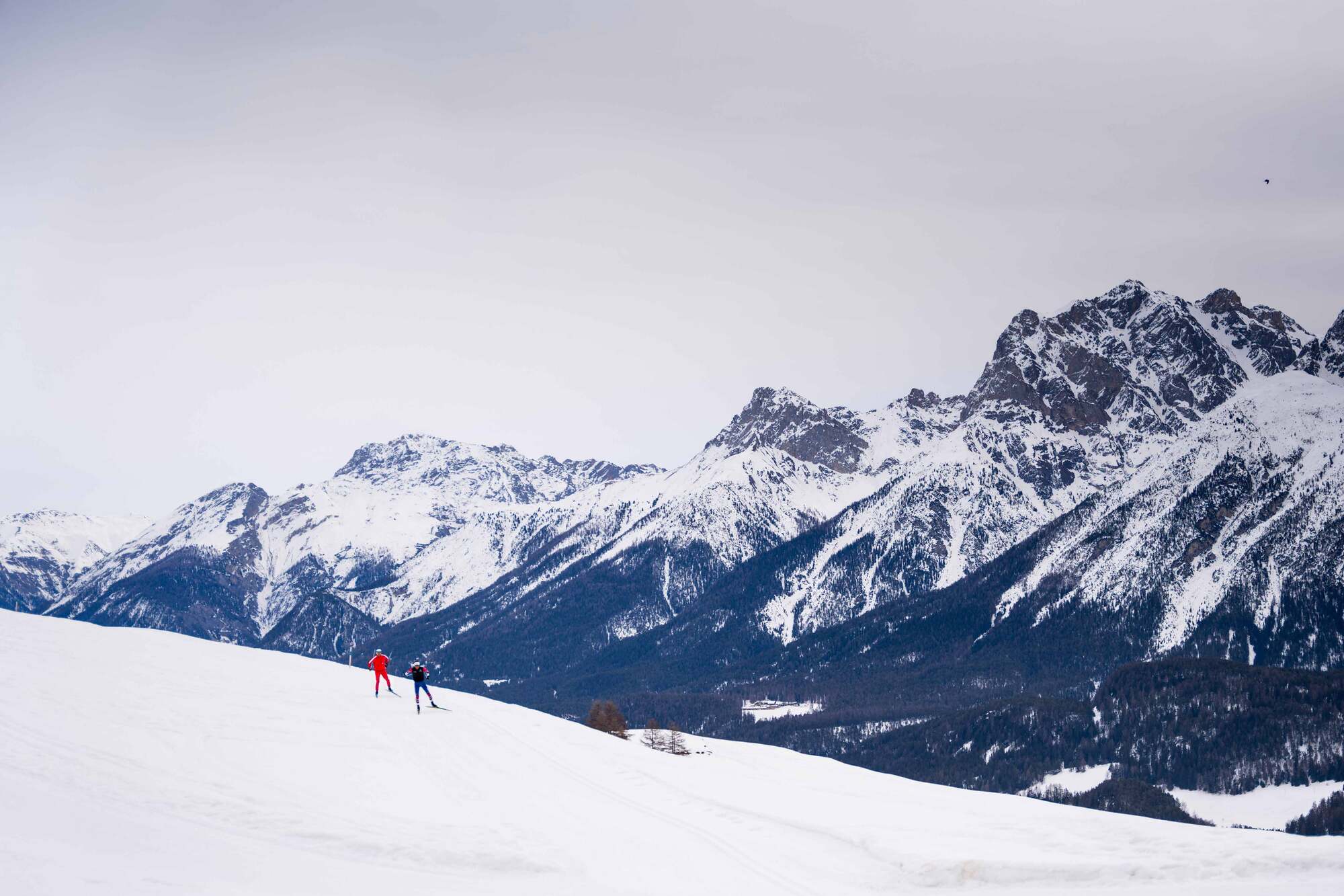 Die besten Langlaufski der Saison 21/22