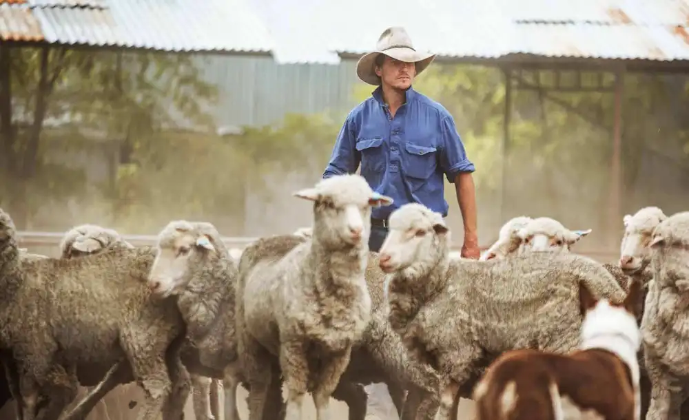Vom Pullover für Pioniere zu „Sheep to Shop“: Devold stellt sich vor