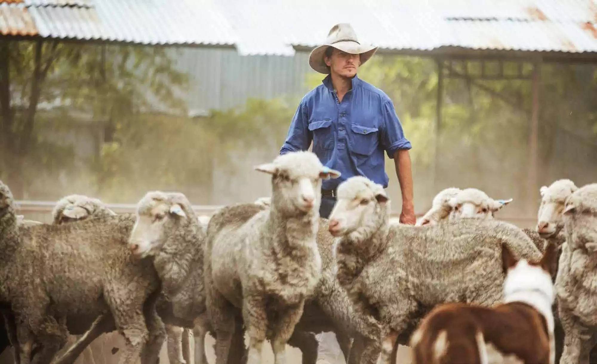 Vom Pullover für Pioniere zu „Sheep to Shop“: Devold stellt sich vor