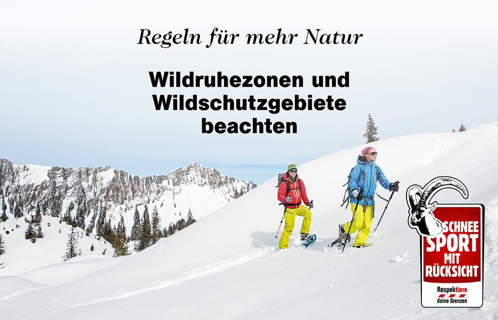 Hoher Druck durch Wintertourismus: «Natur & Freizeit» intensiviert Wildschutz-Kampagne