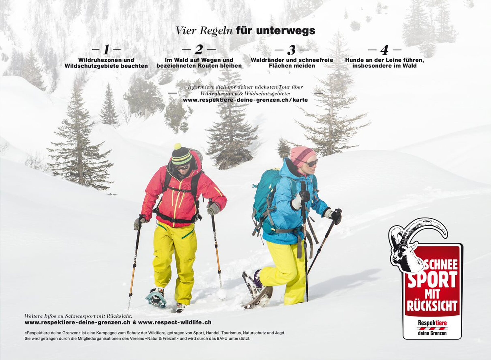 Hoher Druck durch Wintertourismus: «Natur & Freizeit» intensiviert Wildschutz-Kampagne