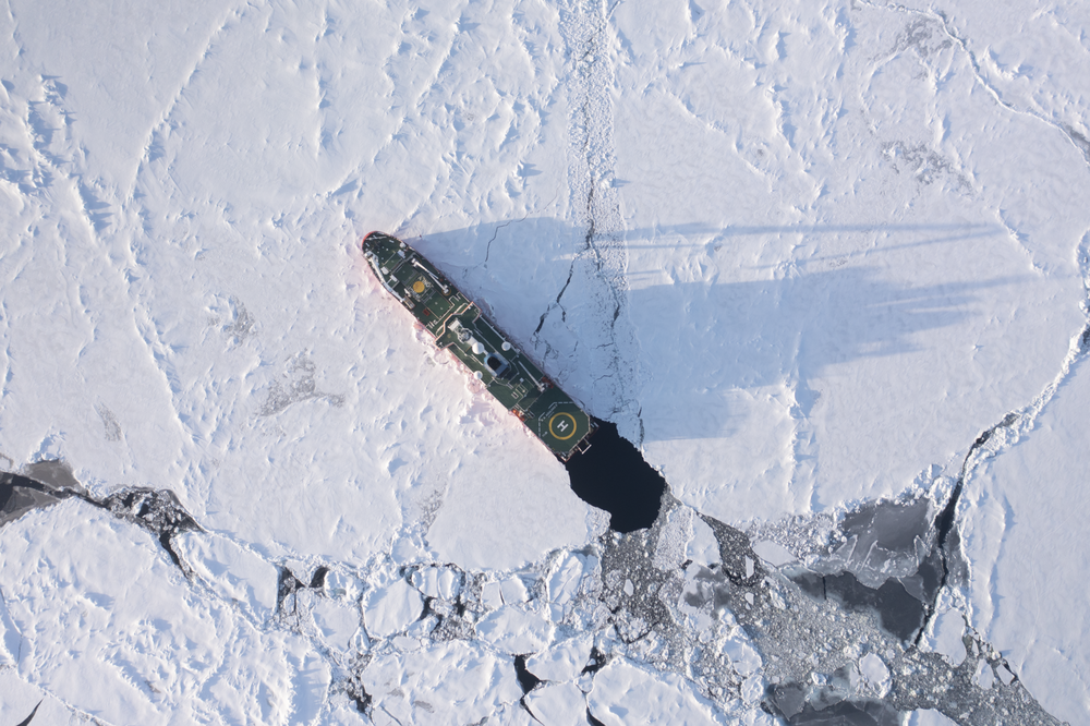 Shackleton-Expedition: Schiffswrack der «Endurance» Tiefe entdeckt  