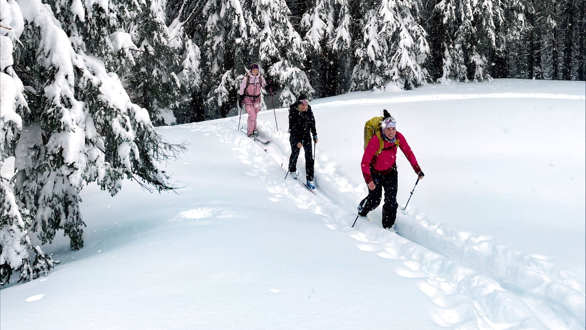 Die Skitouren Must-Haves! Das brauchst du beim Skialpinismus