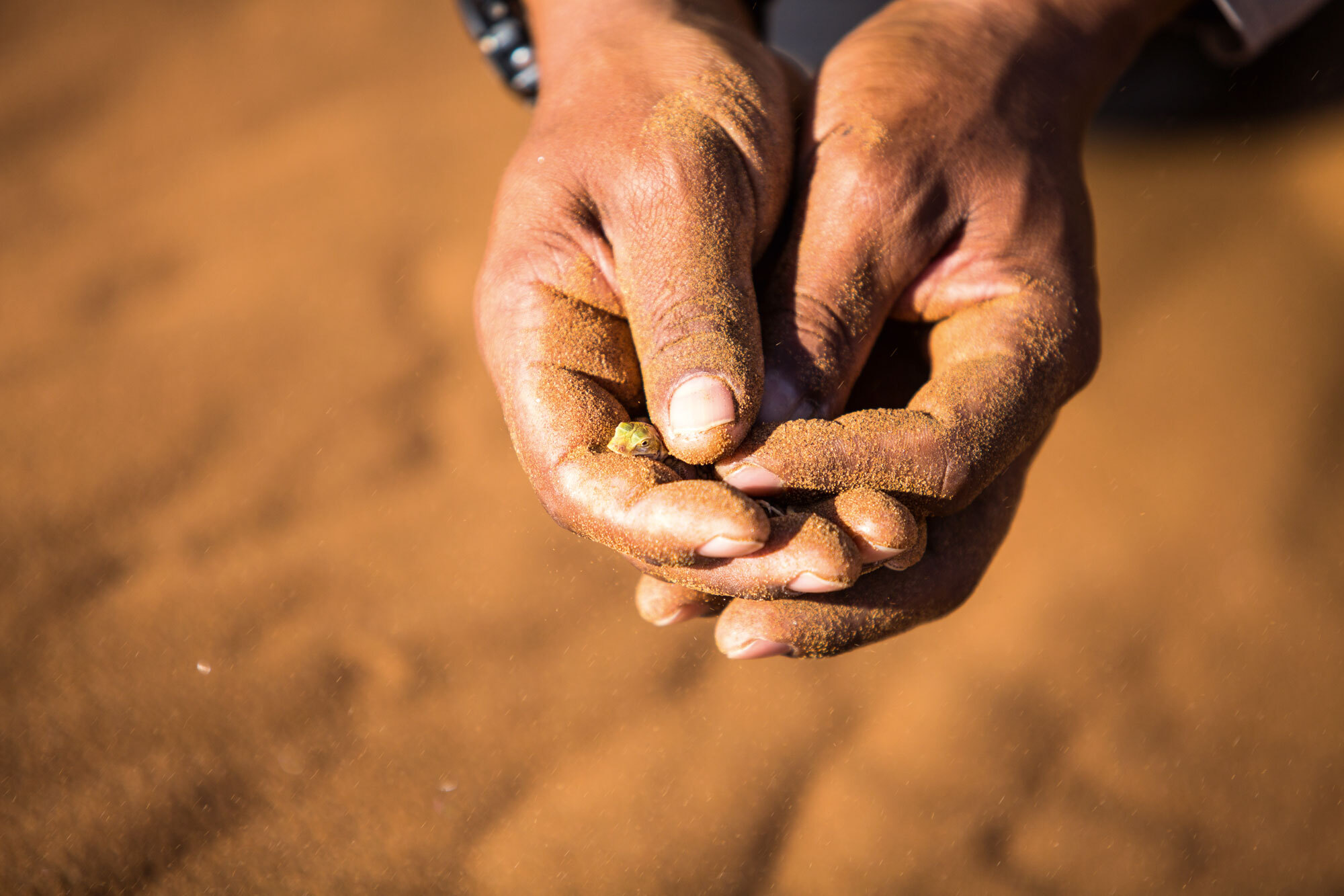 Durch die Wüste – Trekking Namibia Durch die Wüste – Trekking Namibia