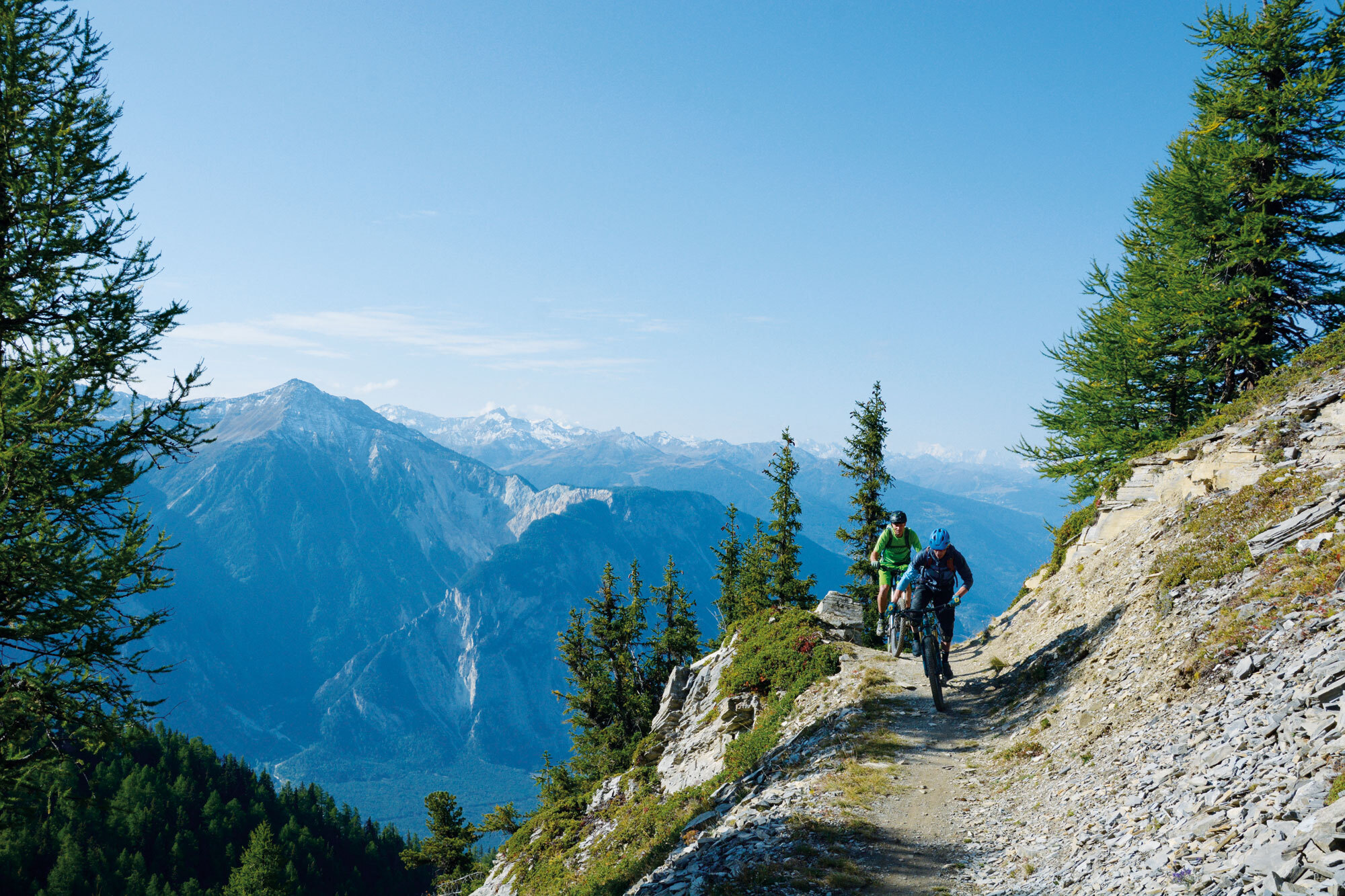 Walliser Traildorado