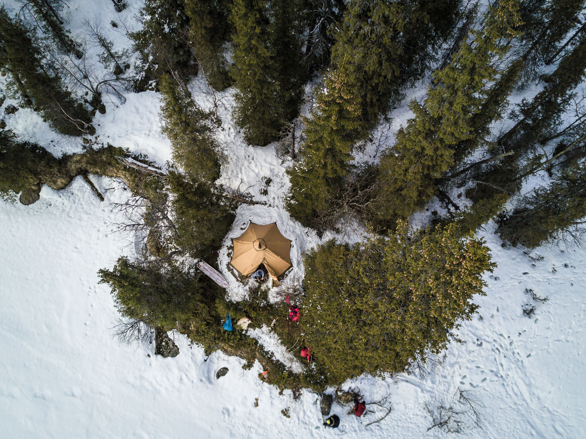 Die wollen bloss laufen! – Hundeschlitten Abenteuer in Lappland Die wollen bloss laufen! – Hundeschlitten Abenteuer in Lappland