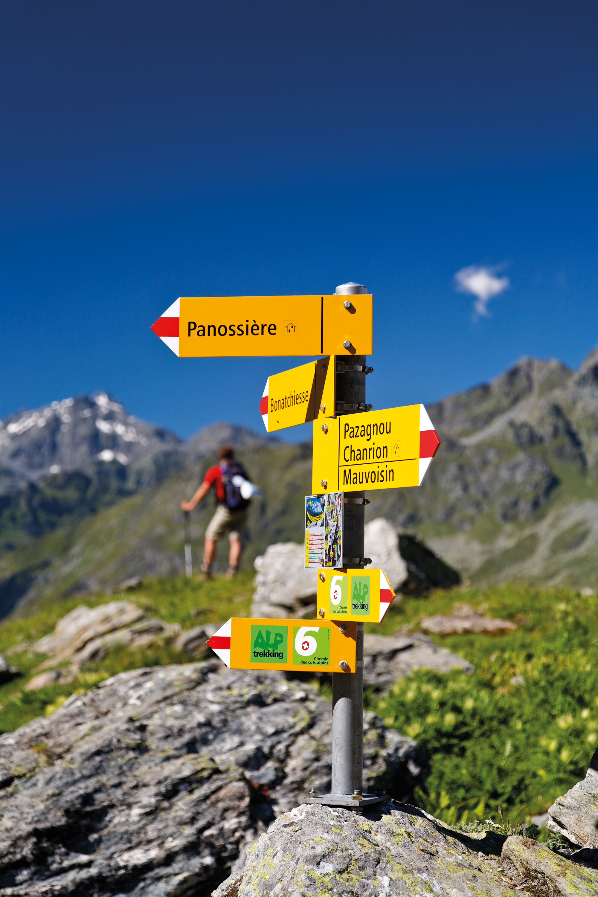 Kämpfende Kühe, wilde Gletscher – Val de Bagnes
