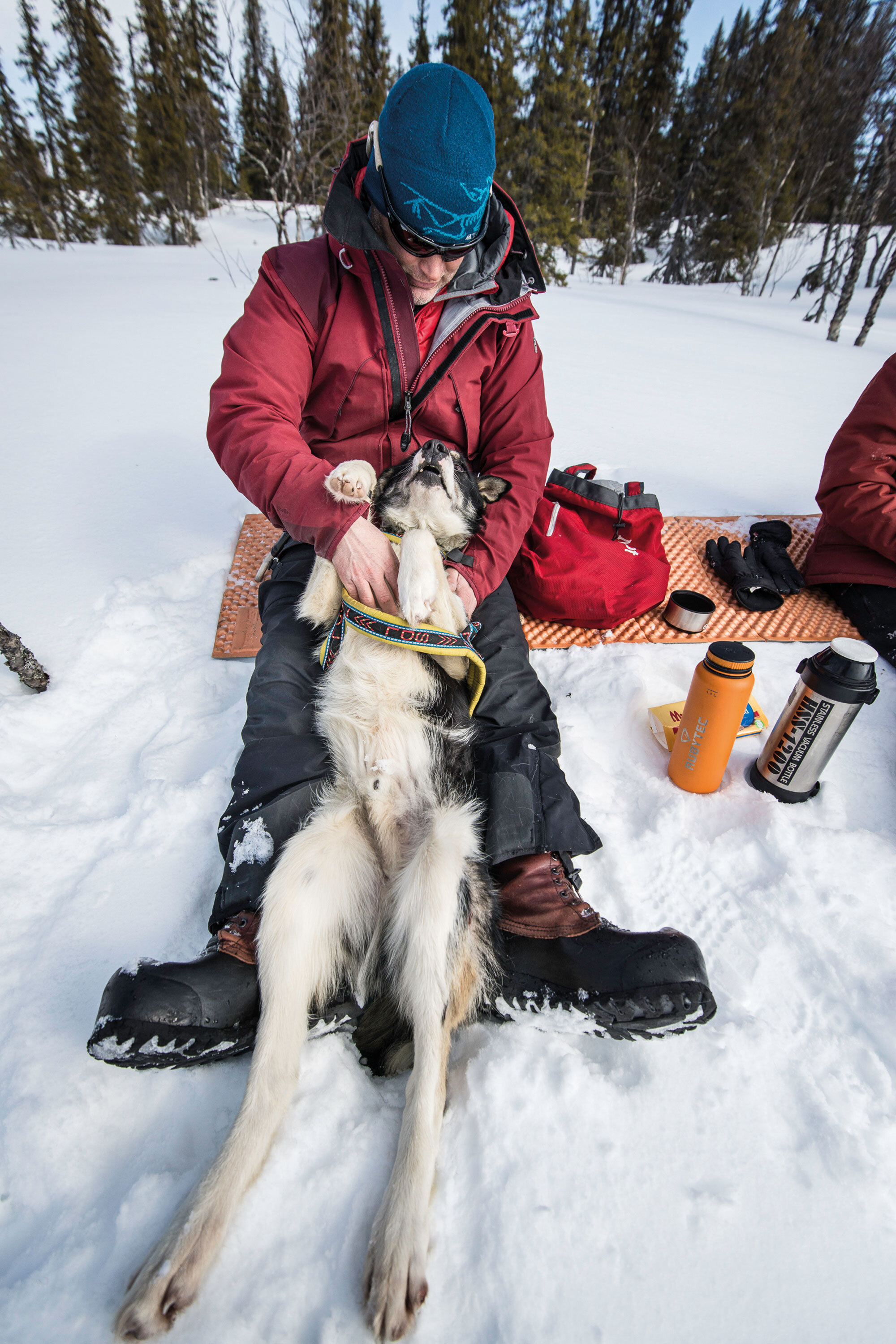 Die wollen bloss laufen! – Hundeschlitten Abenteuer in Lappland Die wollen bloss laufen! – Hundeschlitten Abenteuer in Lappland