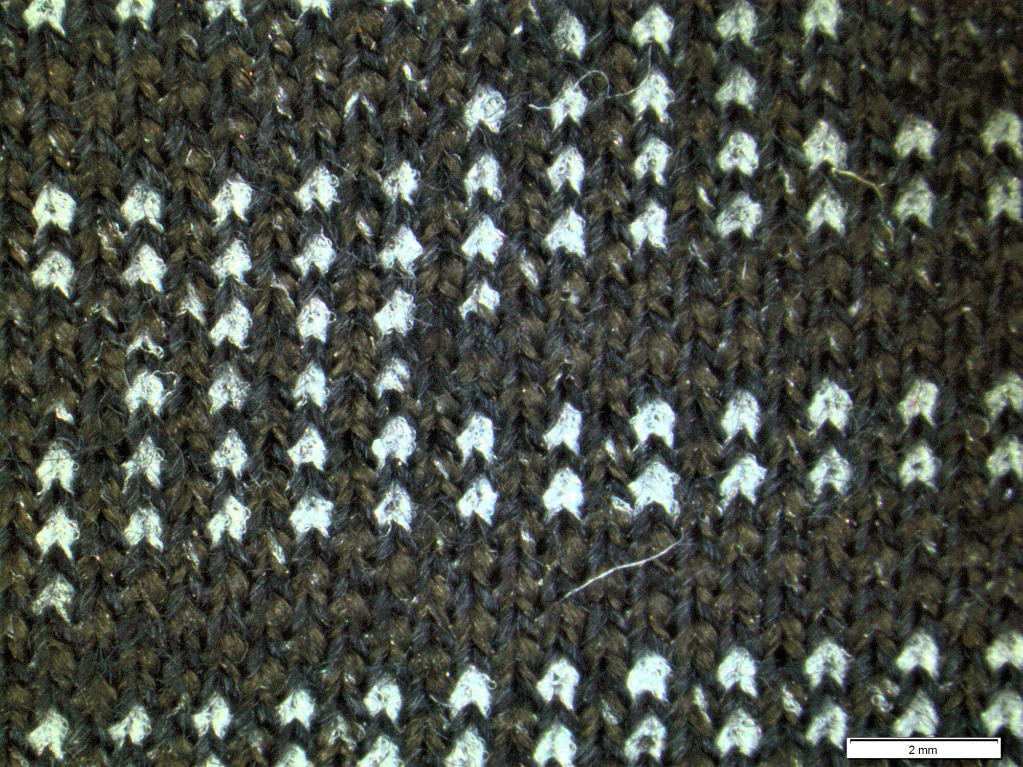 Löffler Transtex Warm Hybrid