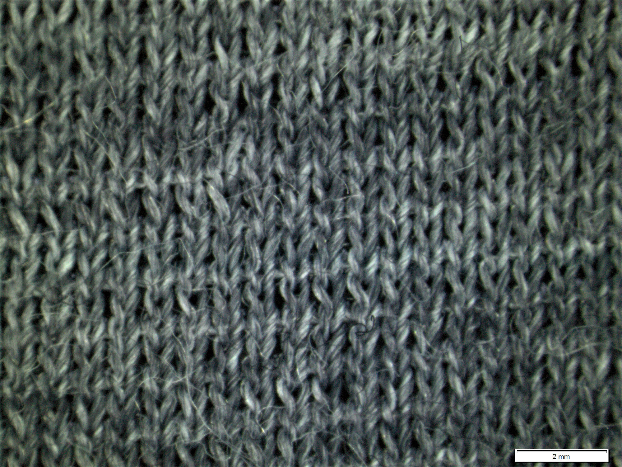 Löffler Transtex Merino
