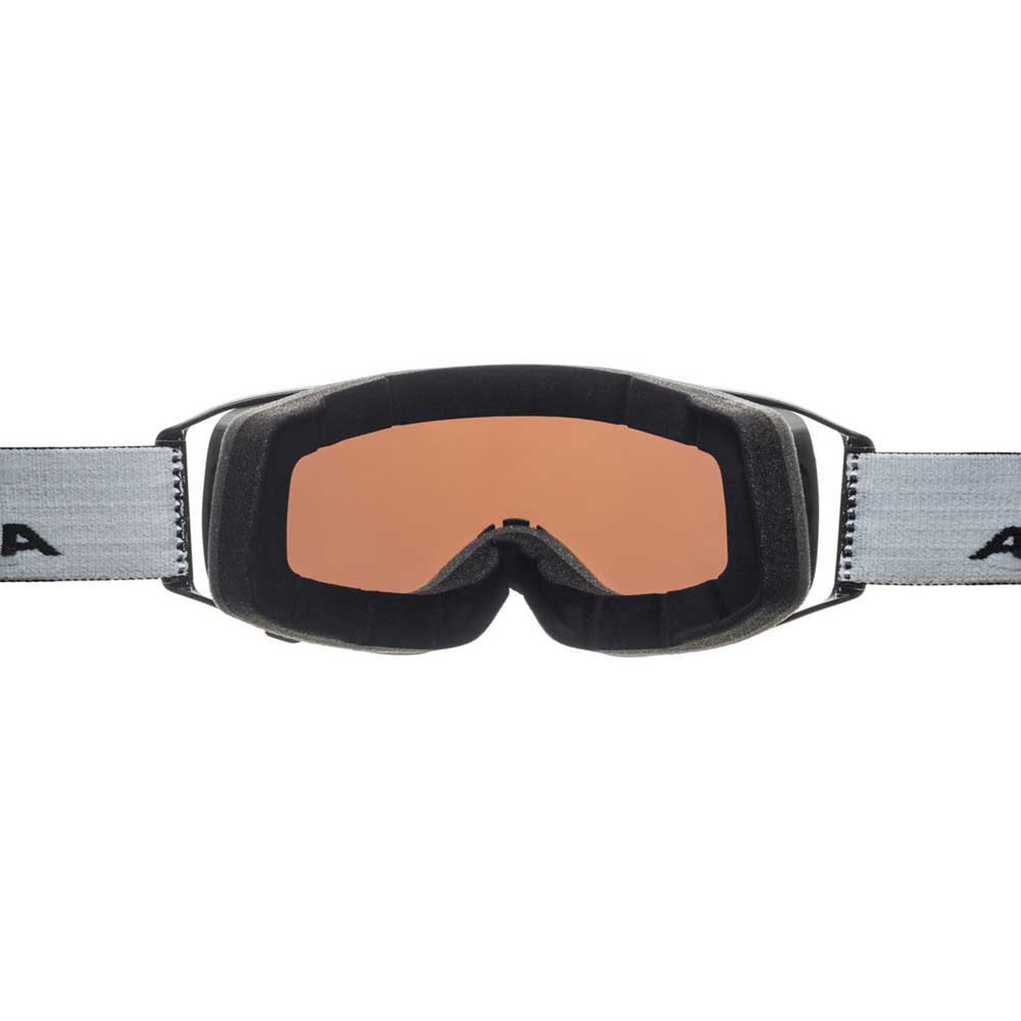Alpina Double Jack Mag Q Skibrille