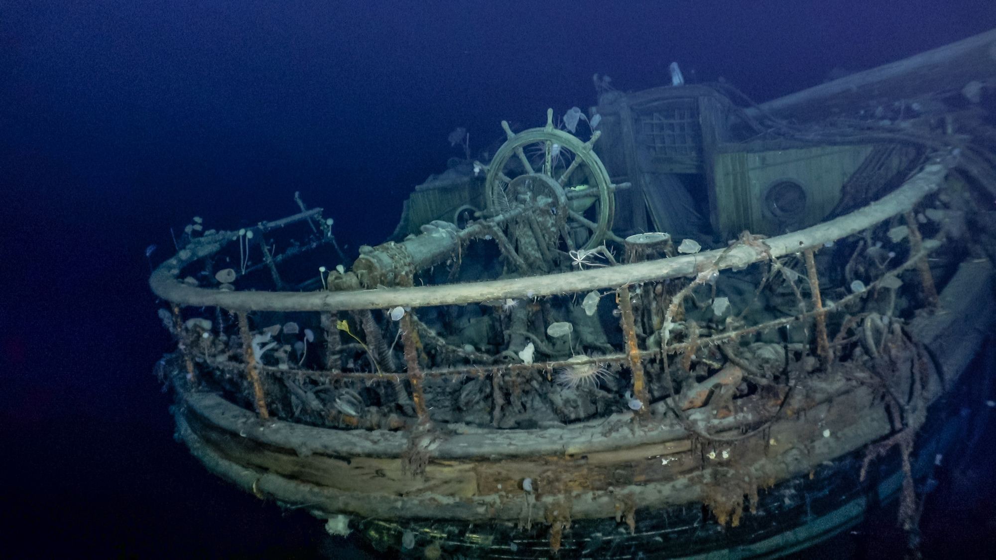 Shackleton-Expedition: Schiffswrack der «Endurance» Tiefe entdeckt  