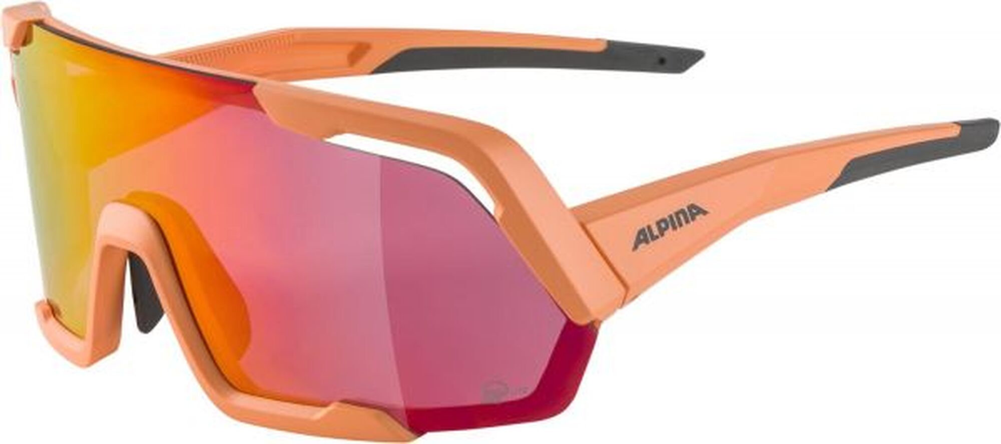 Alpina Rocket Q-Lite