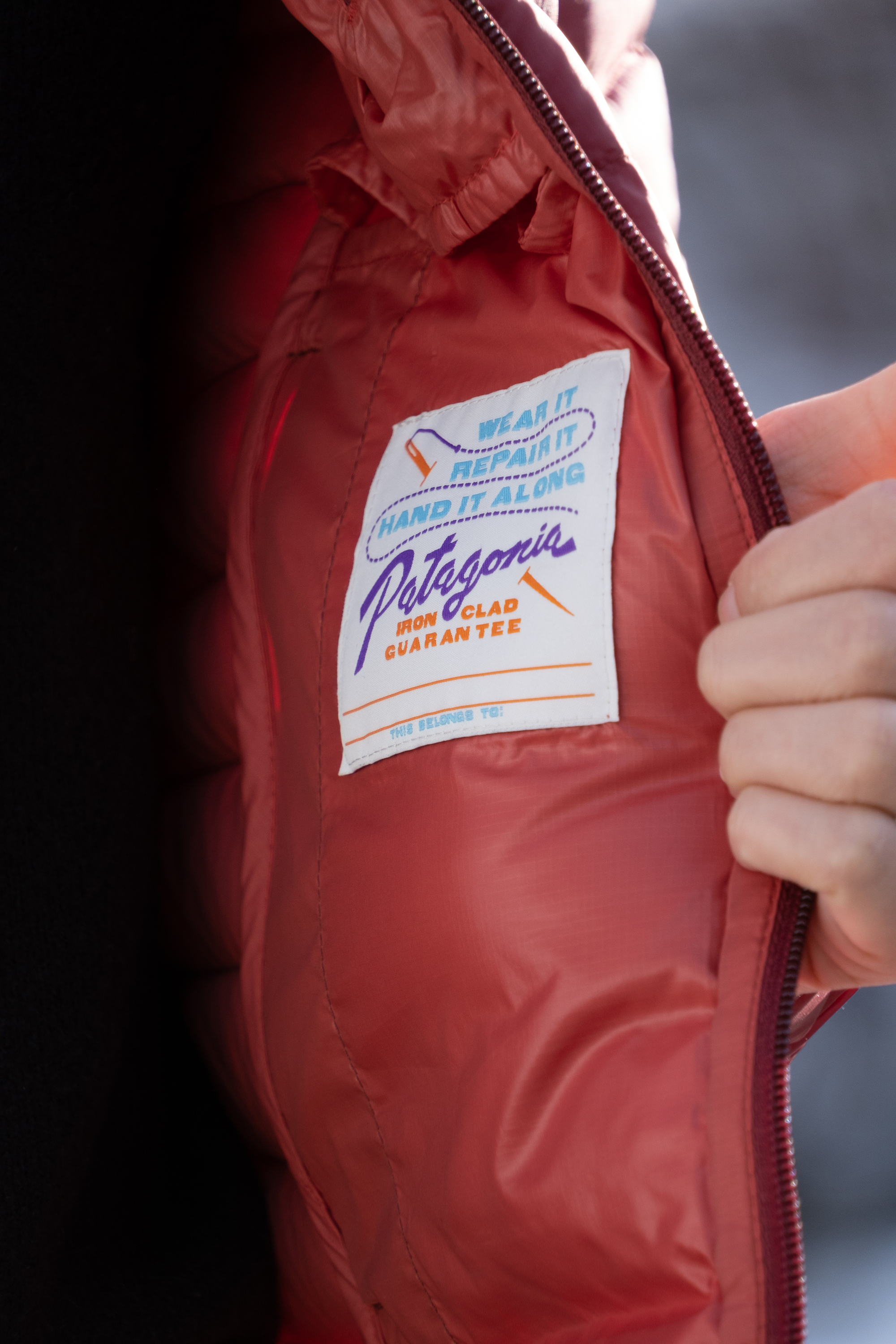 Patagonia Down Sweater Hoody