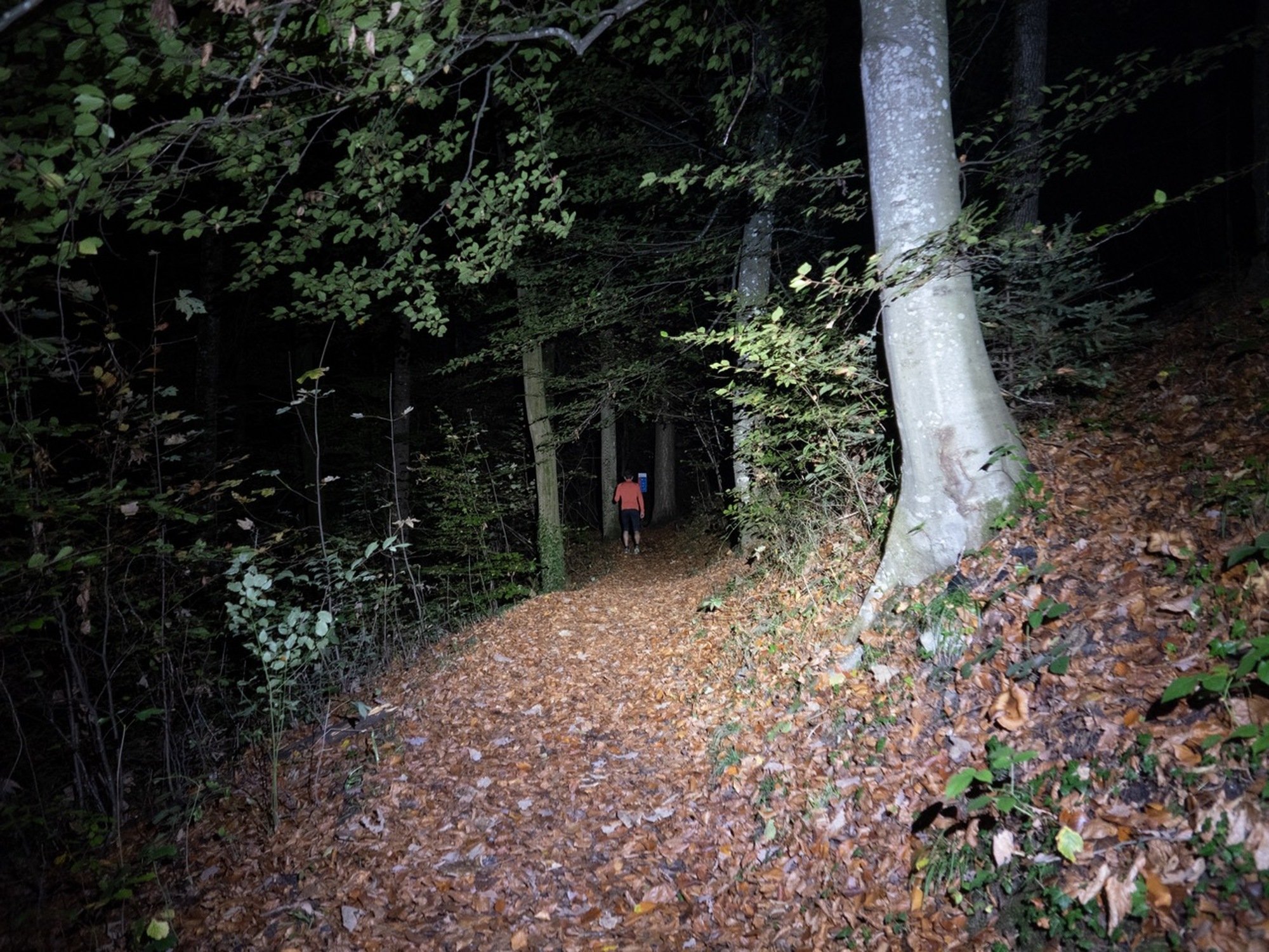 Die Nacht zum Tage machen: Welche Stirnlampe ist die Richtige