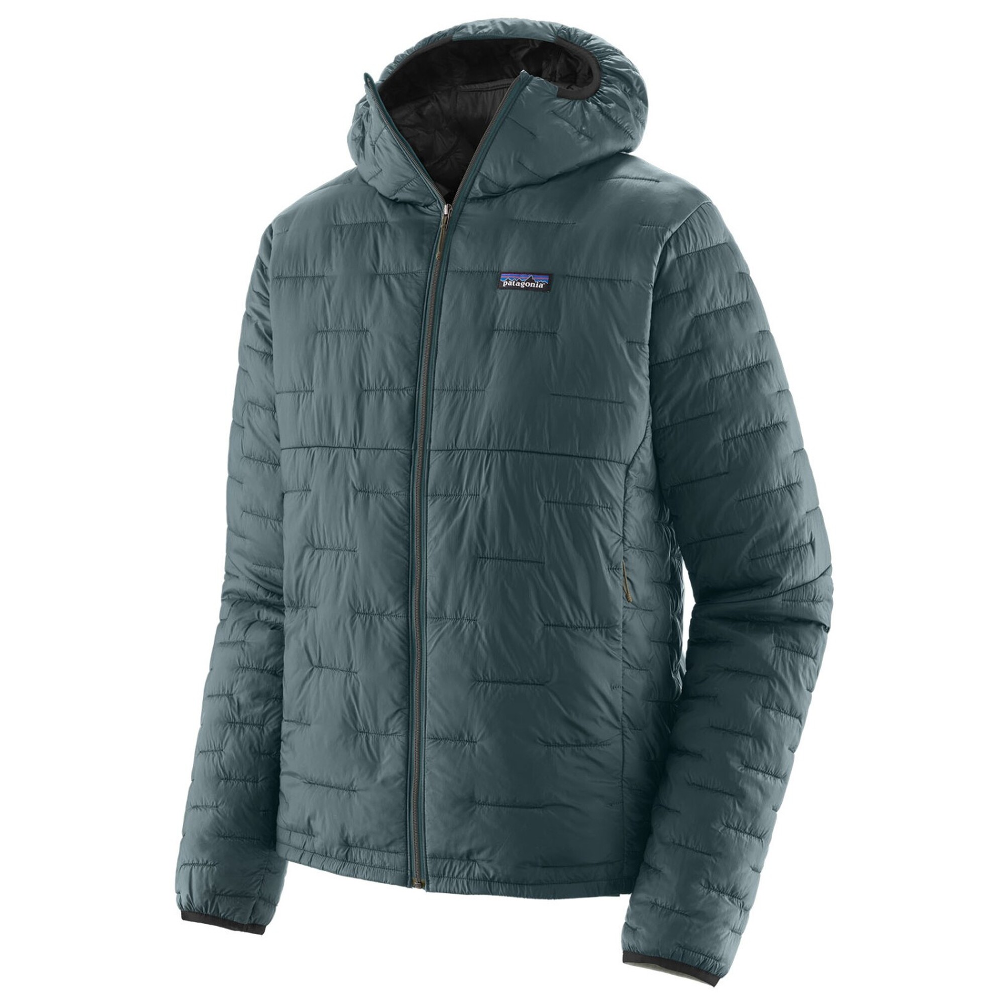 Patagonia Micro Puff Hoody
