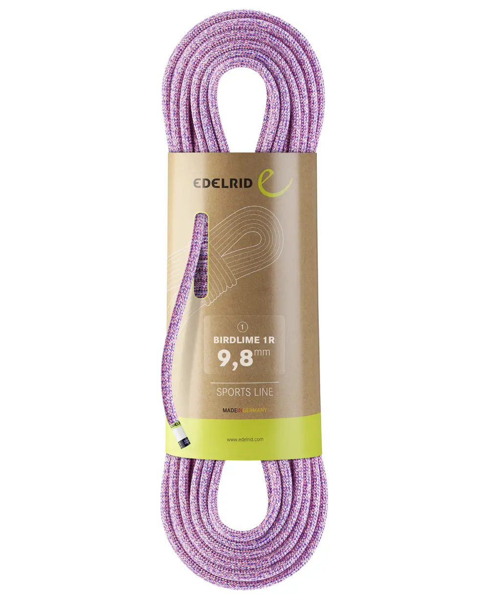 Im Test: Edelrid Birdlime 1R 9.8mm