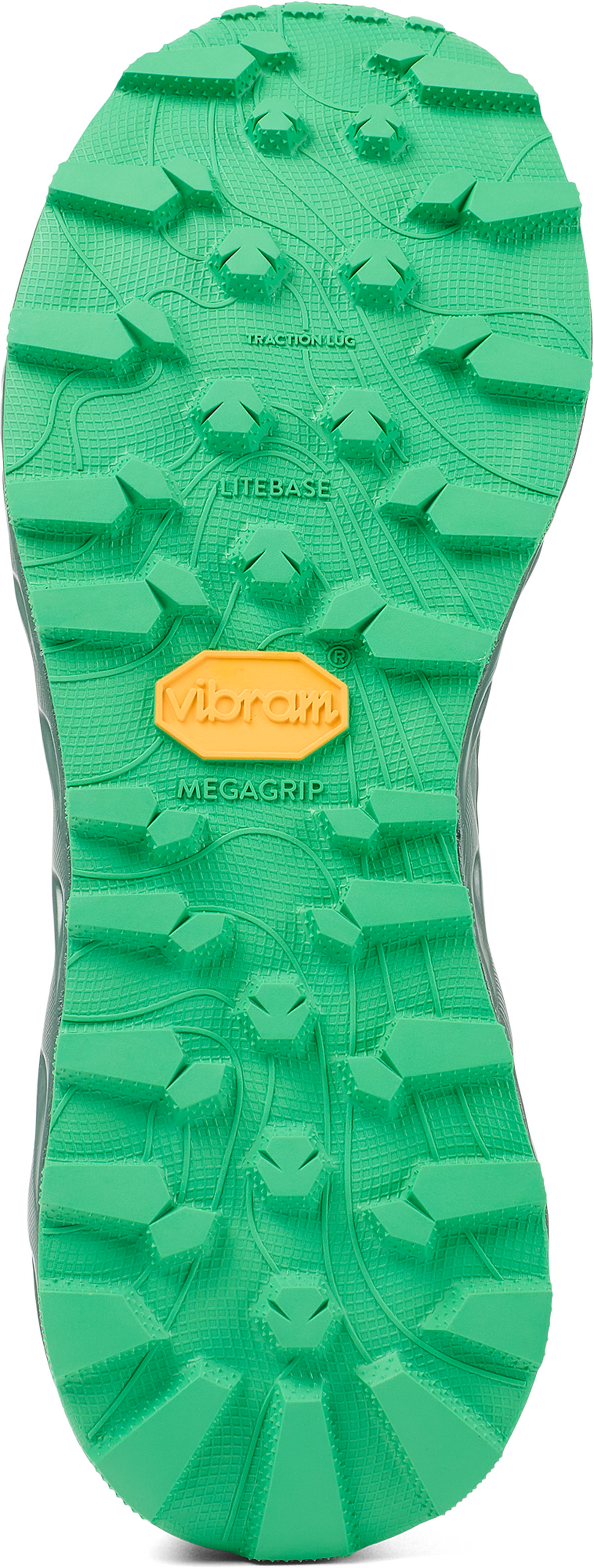 NNormal Tomir 02