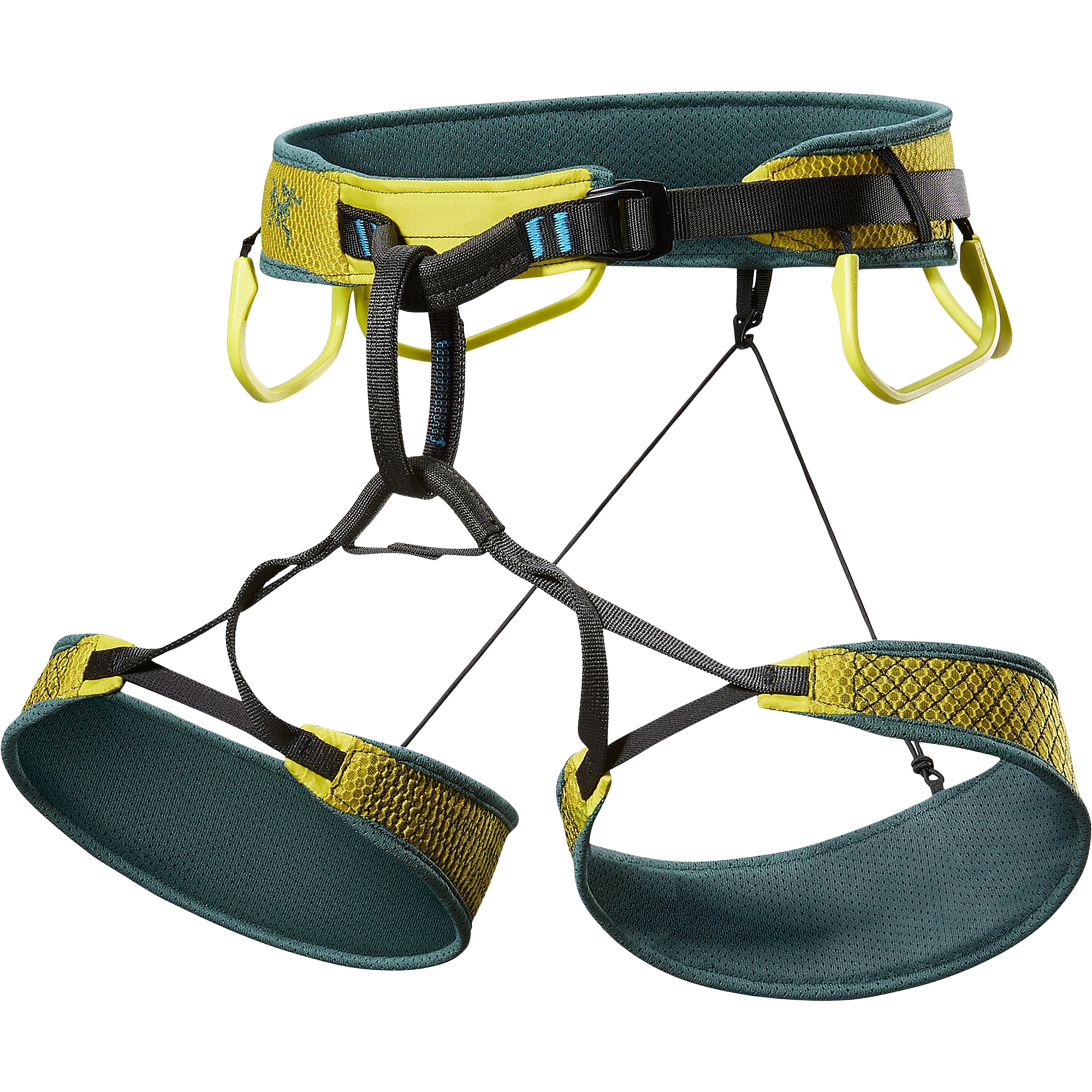 Arcteryx Skaha
