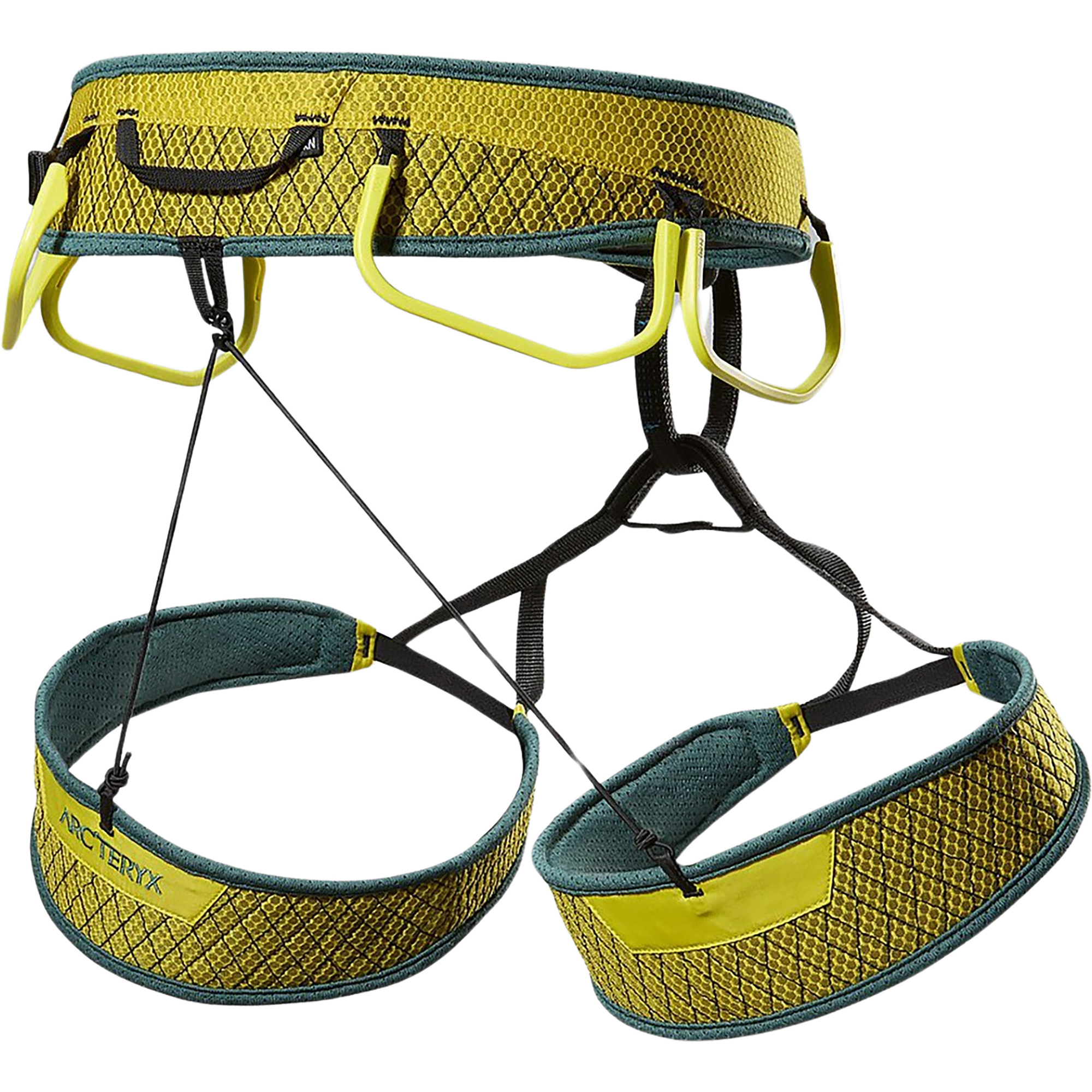 Arcteryx Skaha